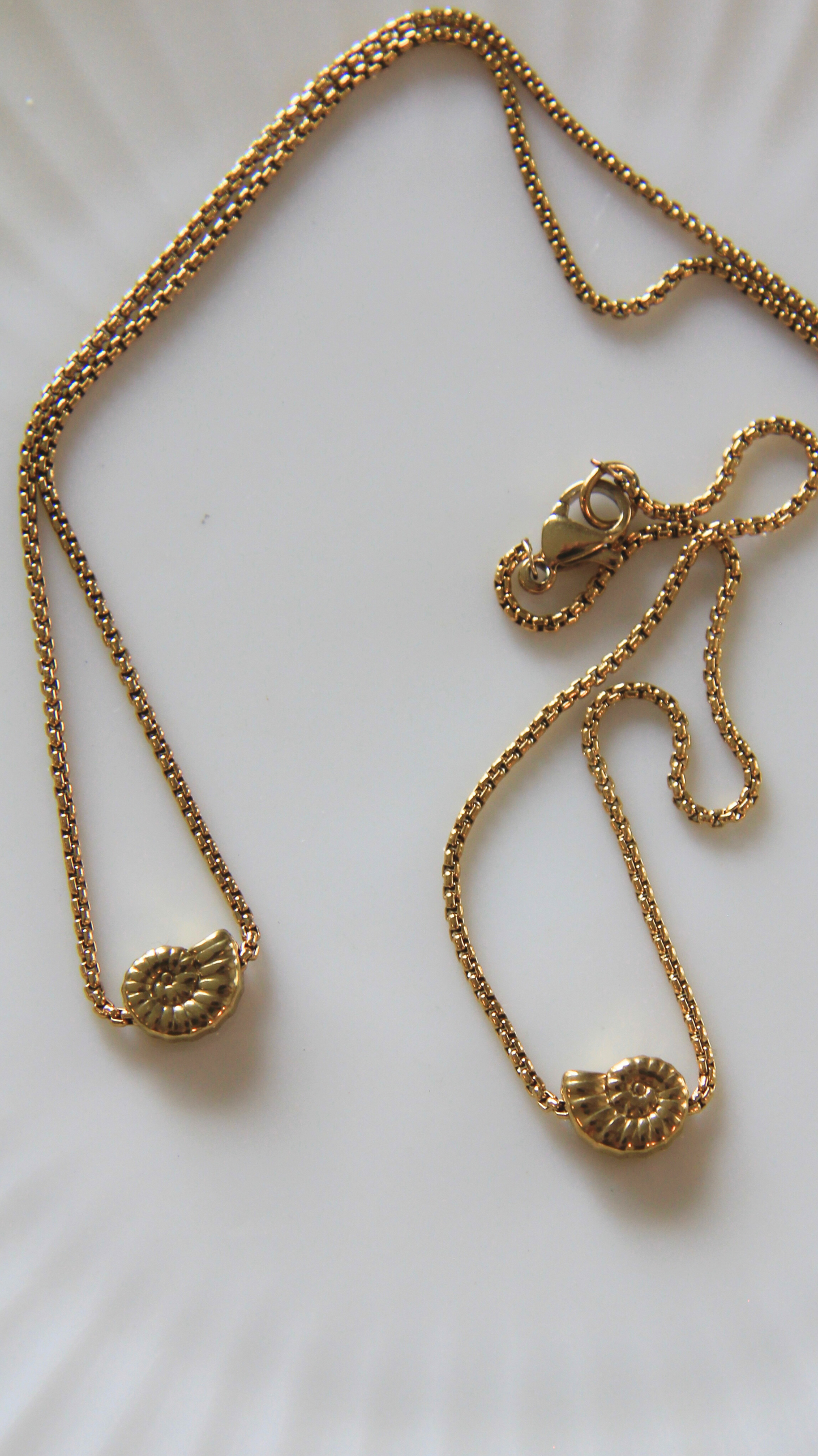 The Dainty Turbo Shell Bracelet
