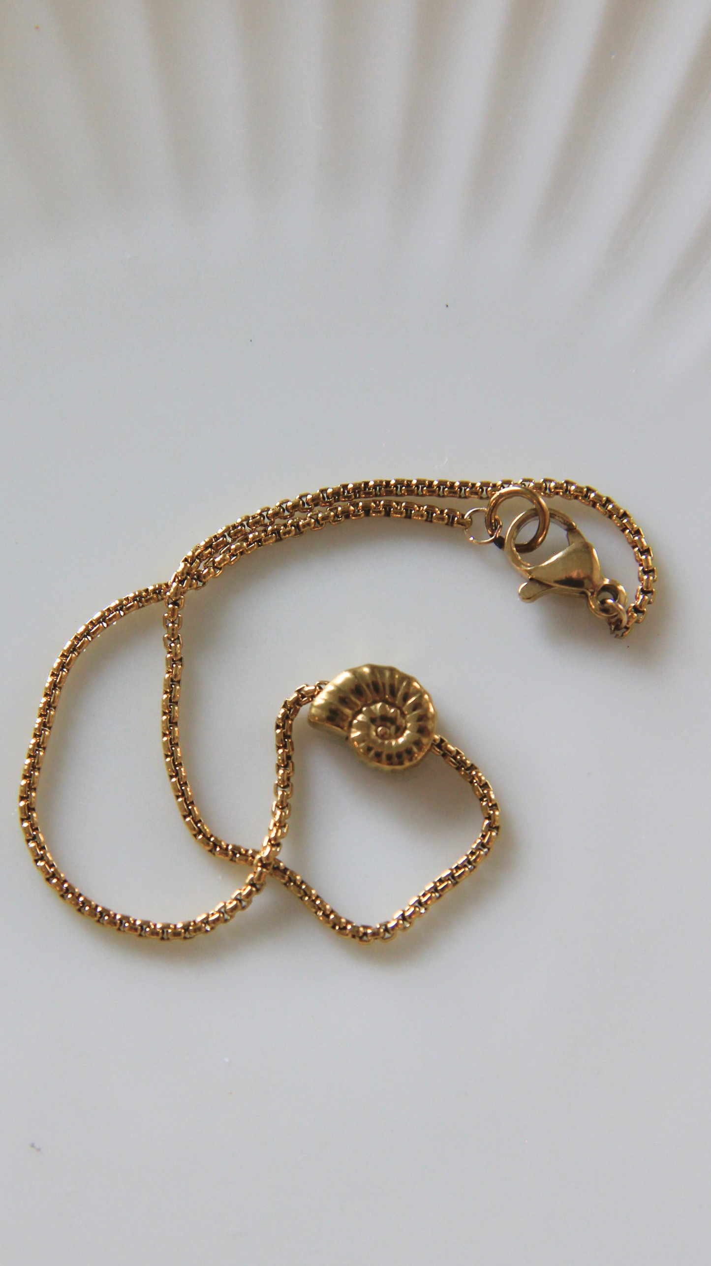 The Dainty Turbo Shell Bracelet