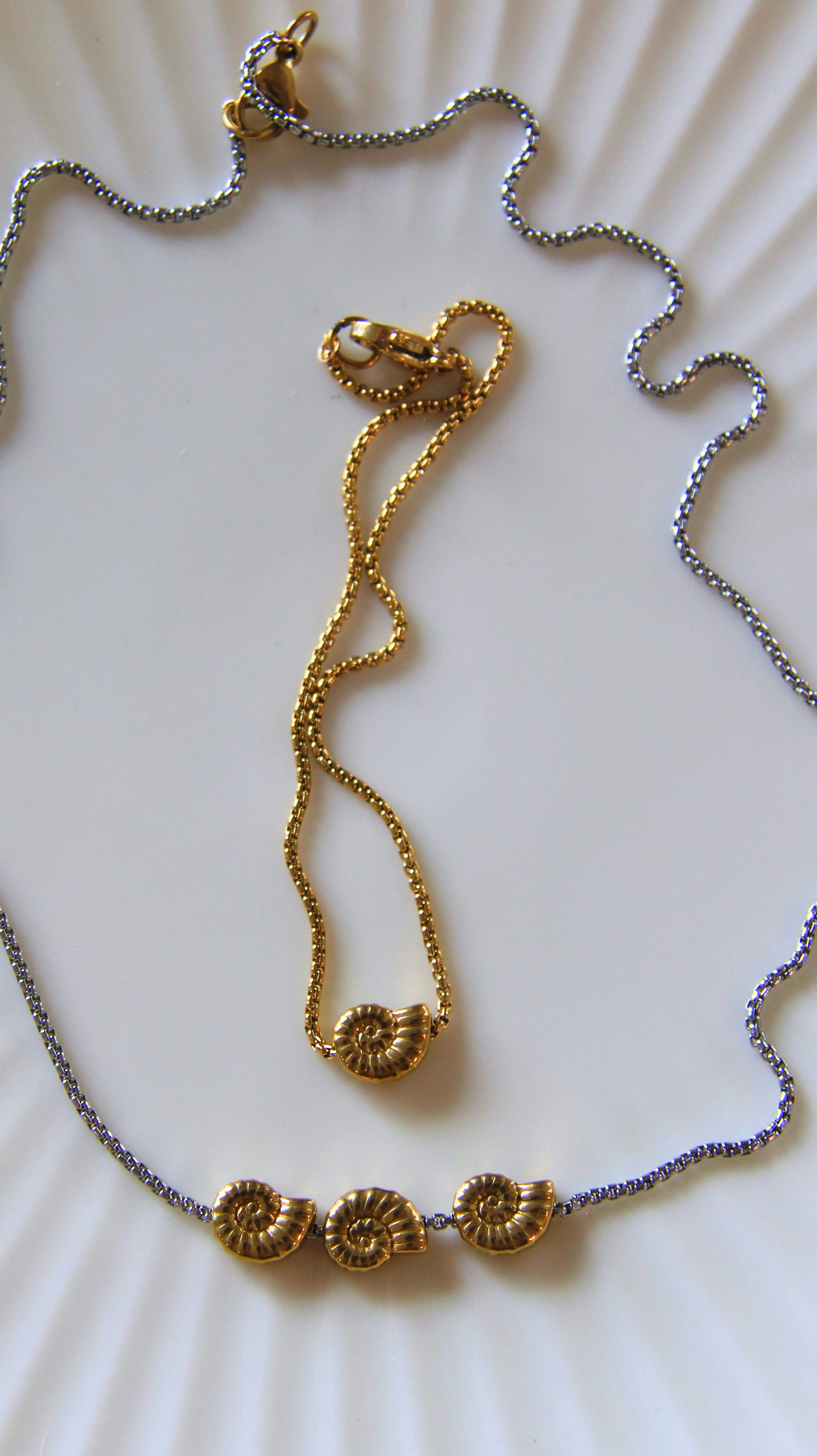 The Dainty Turbo Shell Bracelet