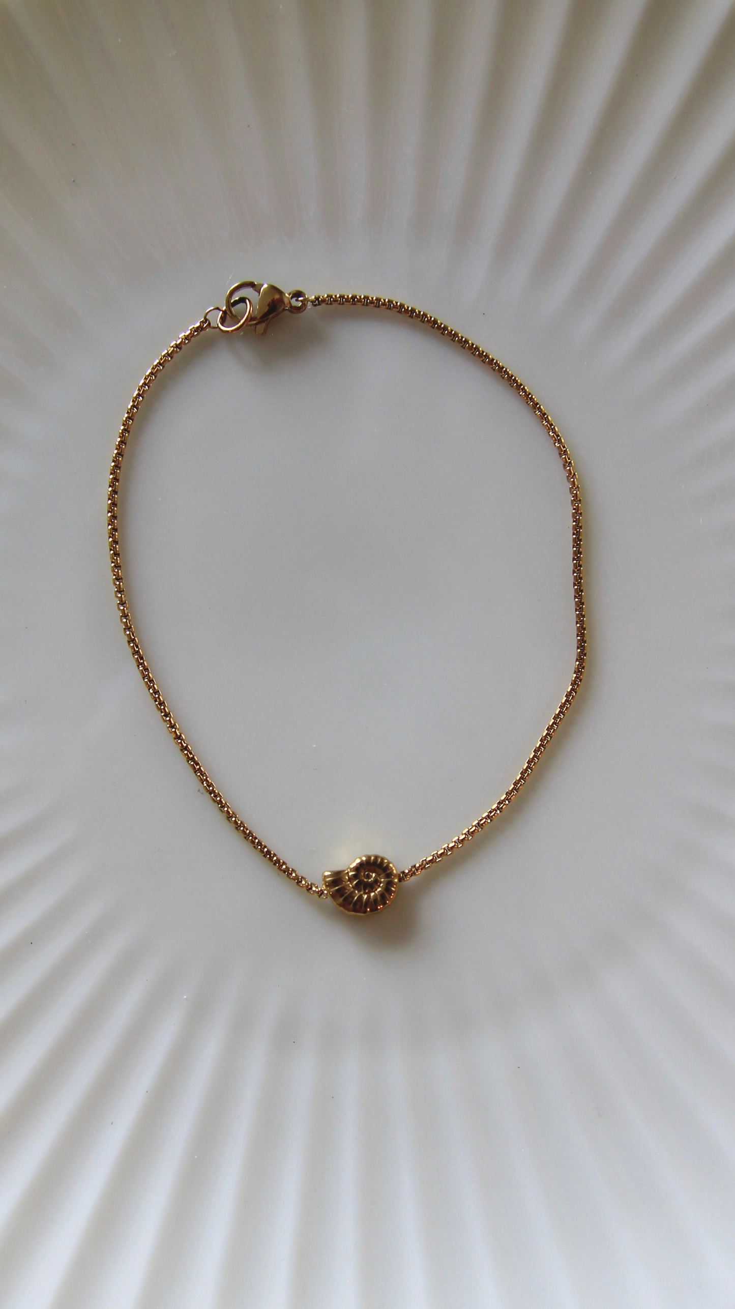 The Dainty Turbo Shell Bracelet