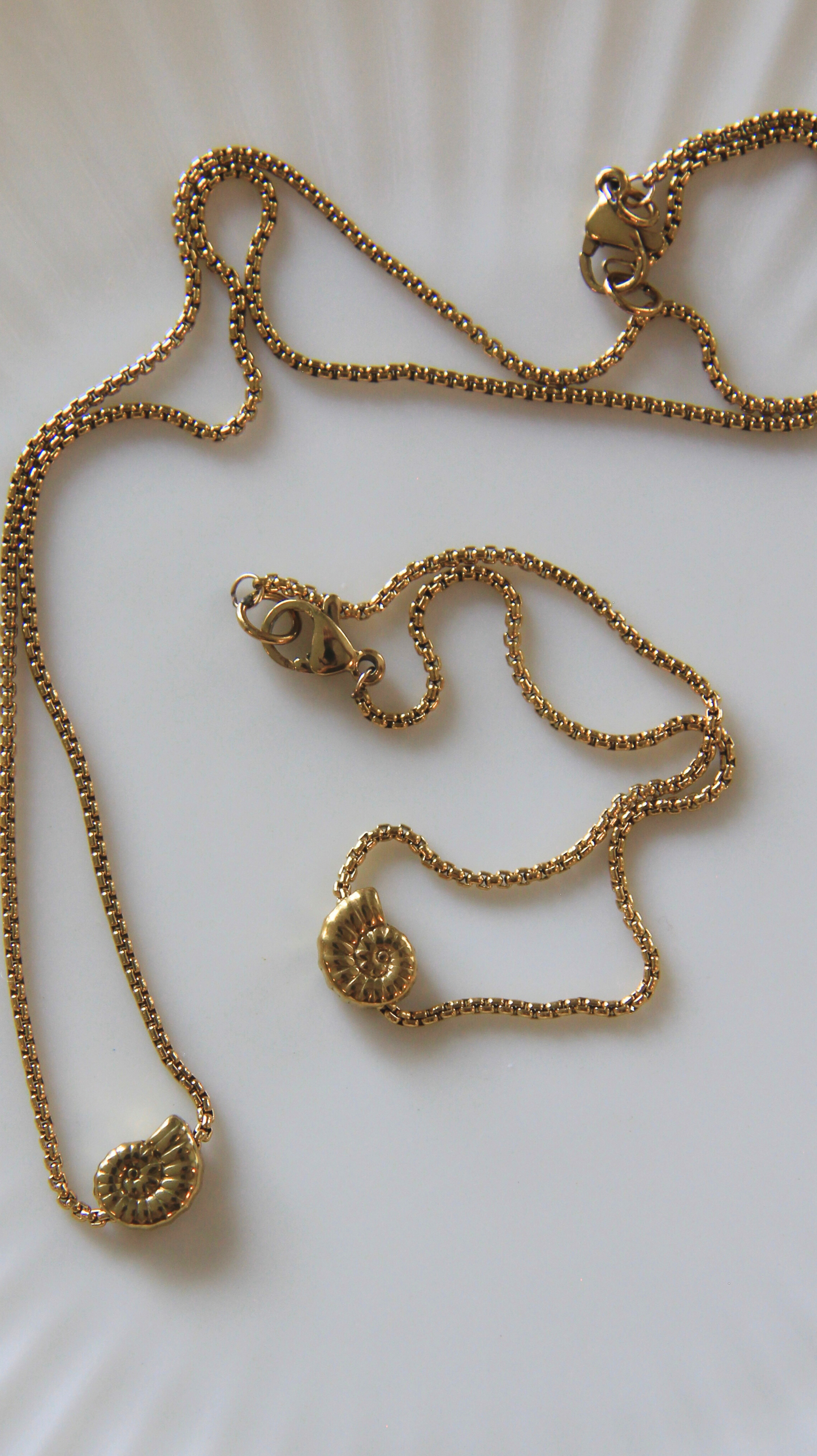 The Dainty Turbo Shell Bracelet