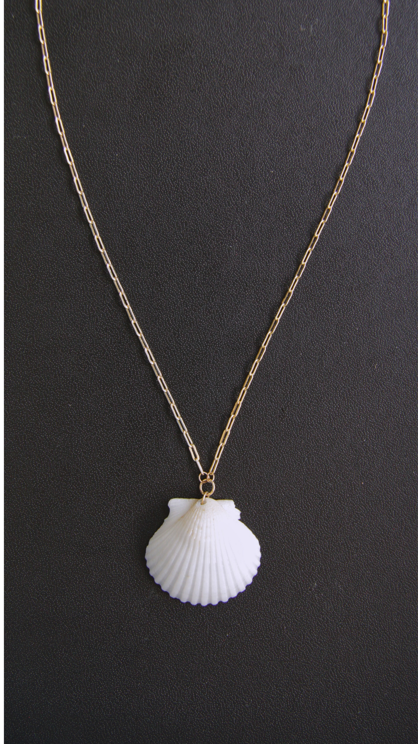 White Calico Shell Necklace
