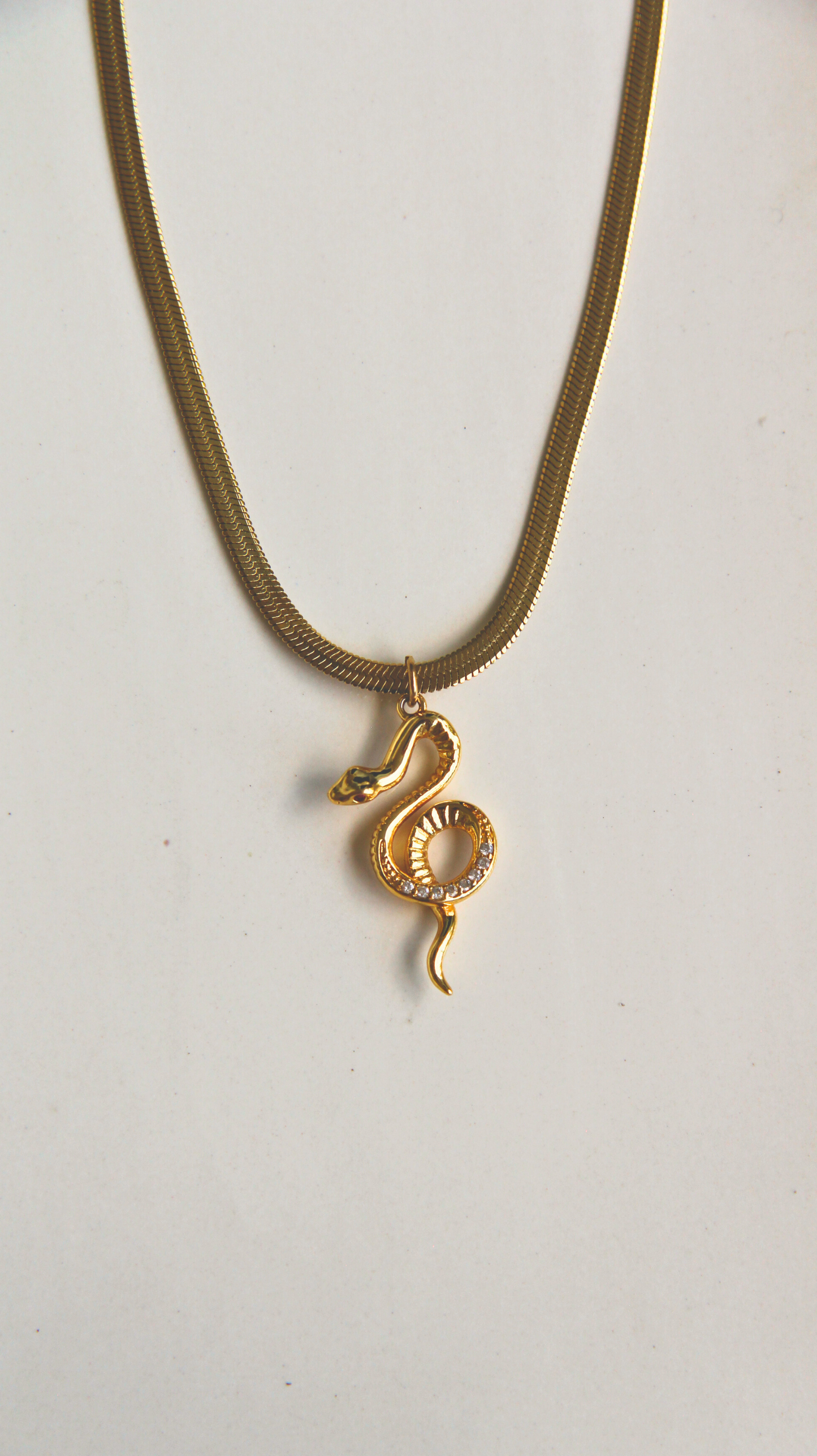 The Envy Necklace
