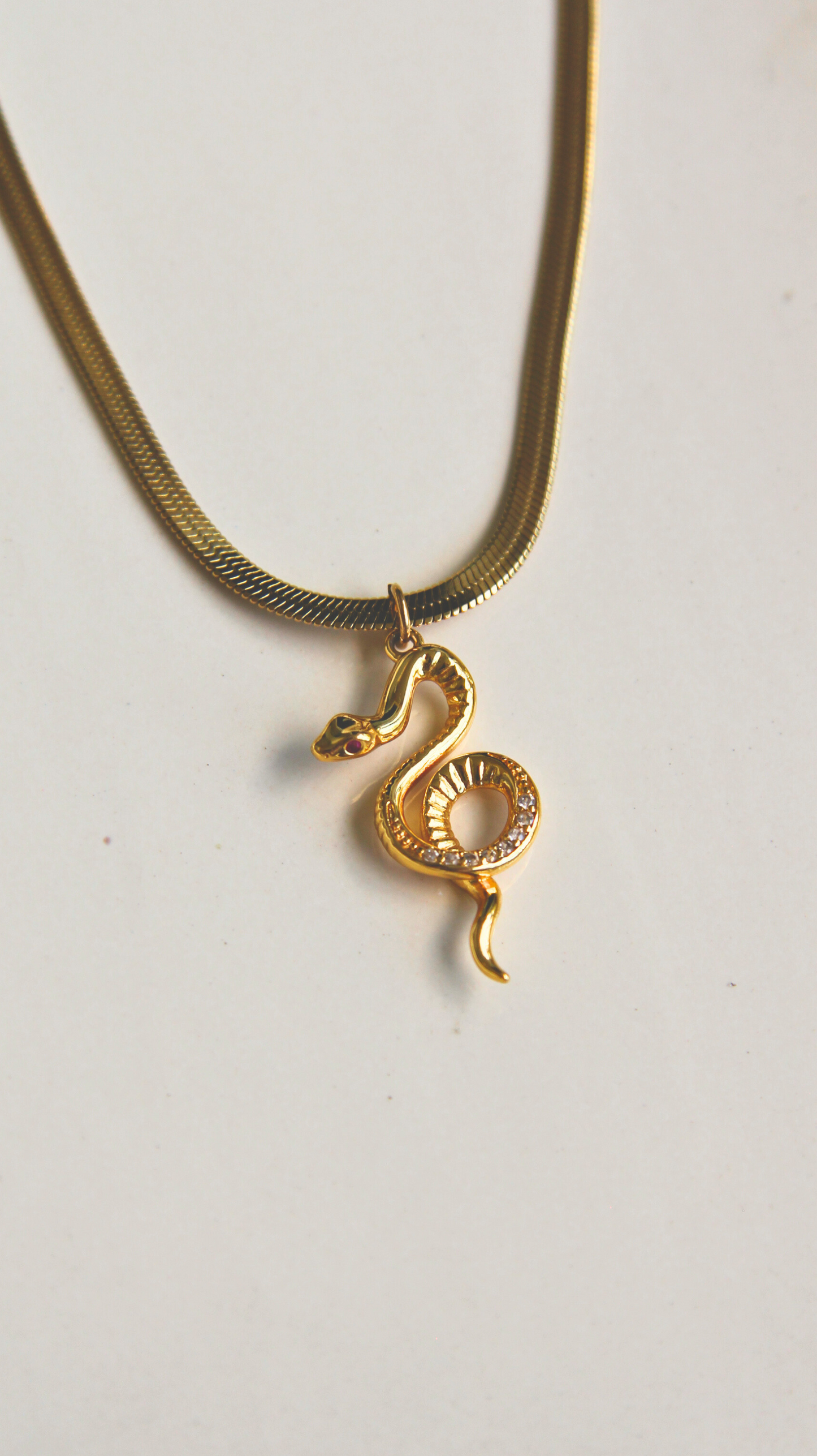 The Envy Necklace
