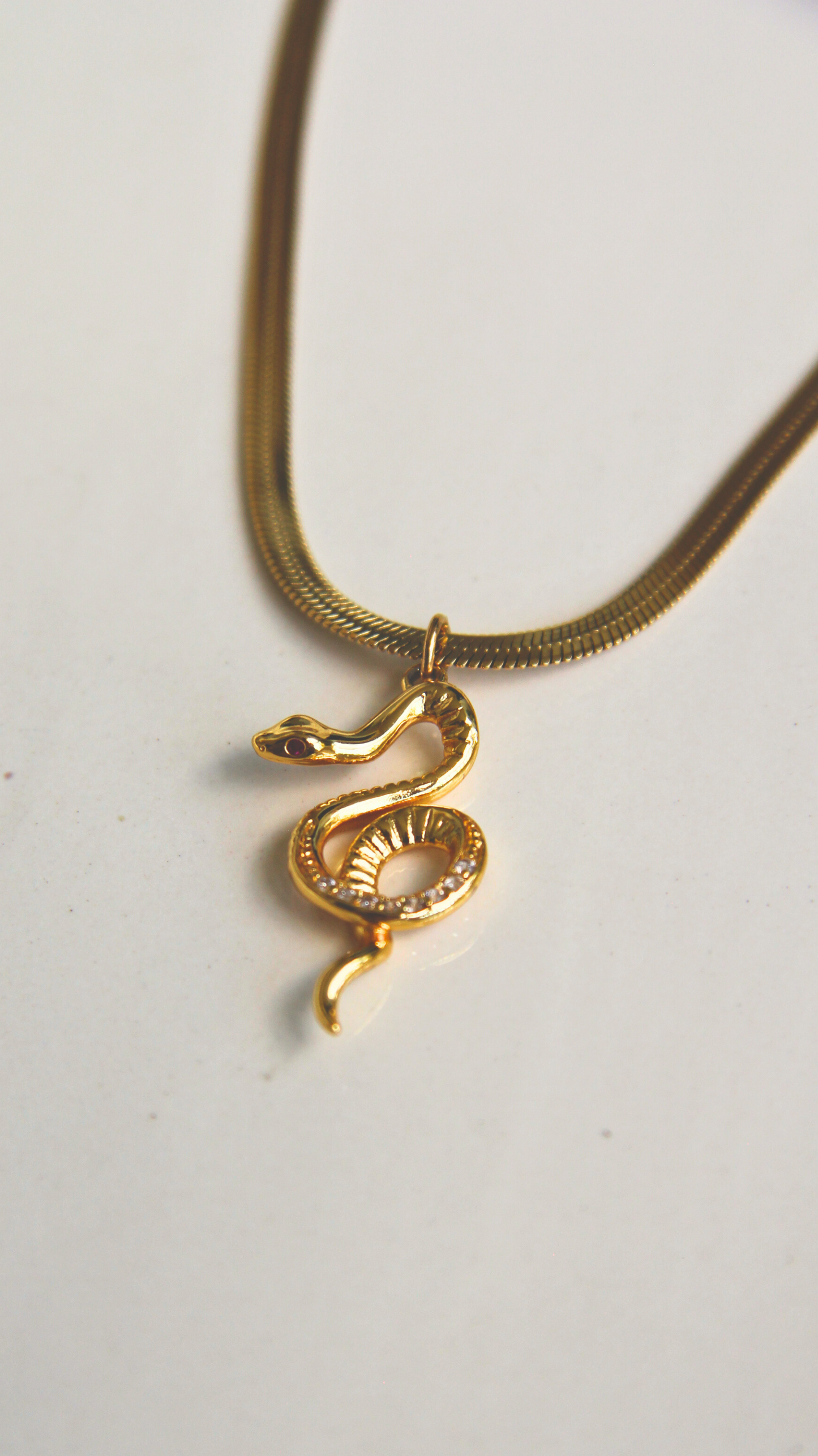 The Envy Necklace