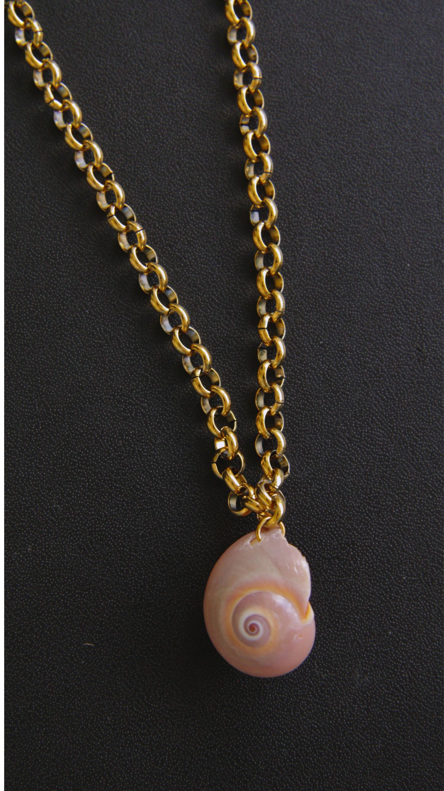 Rolo Chain Moon Shell Necklace
