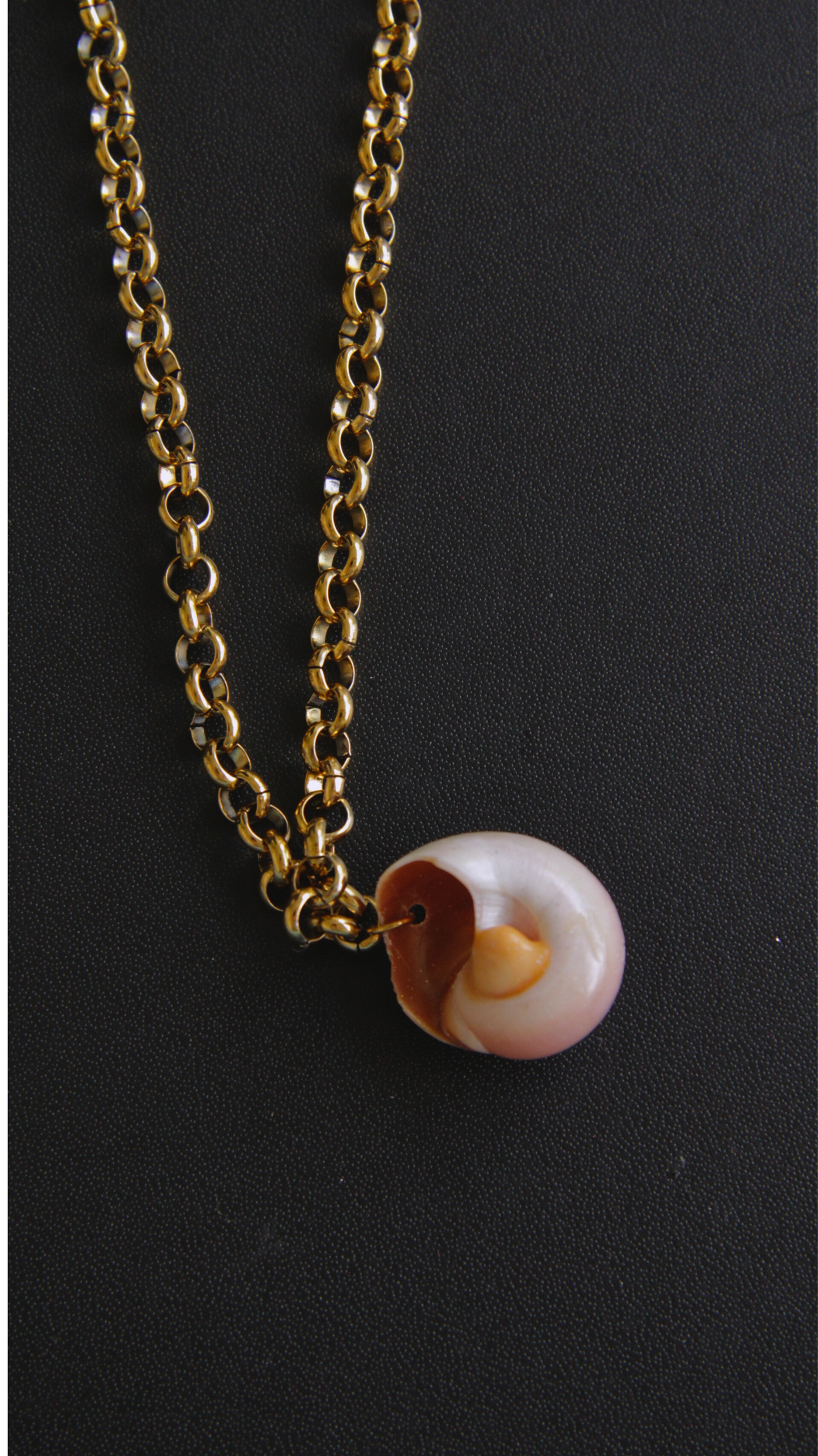 Rolo Chain Moon Shell Necklace