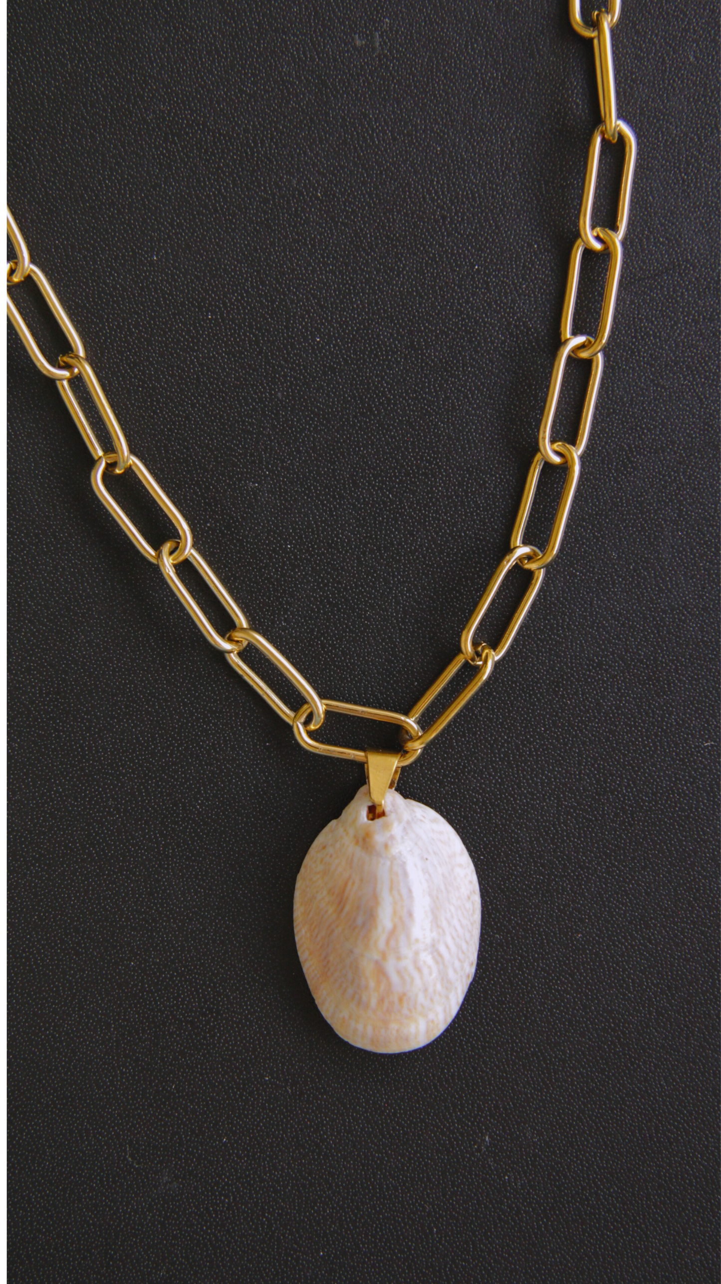 Slipper Shell Necklace
