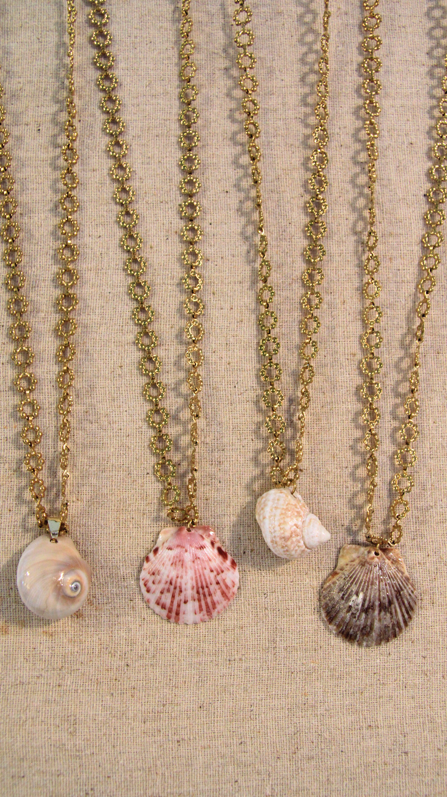 Rolo Chain Moon Shell Necklace