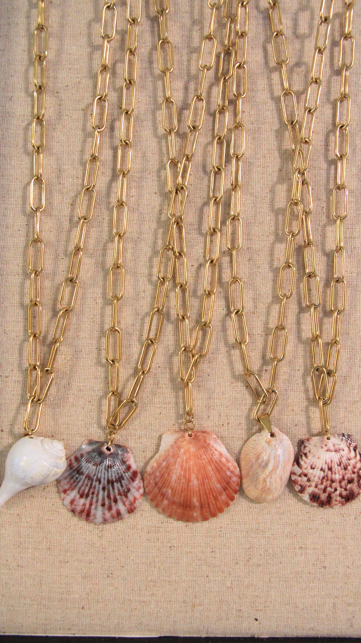Slipper Shell Necklace