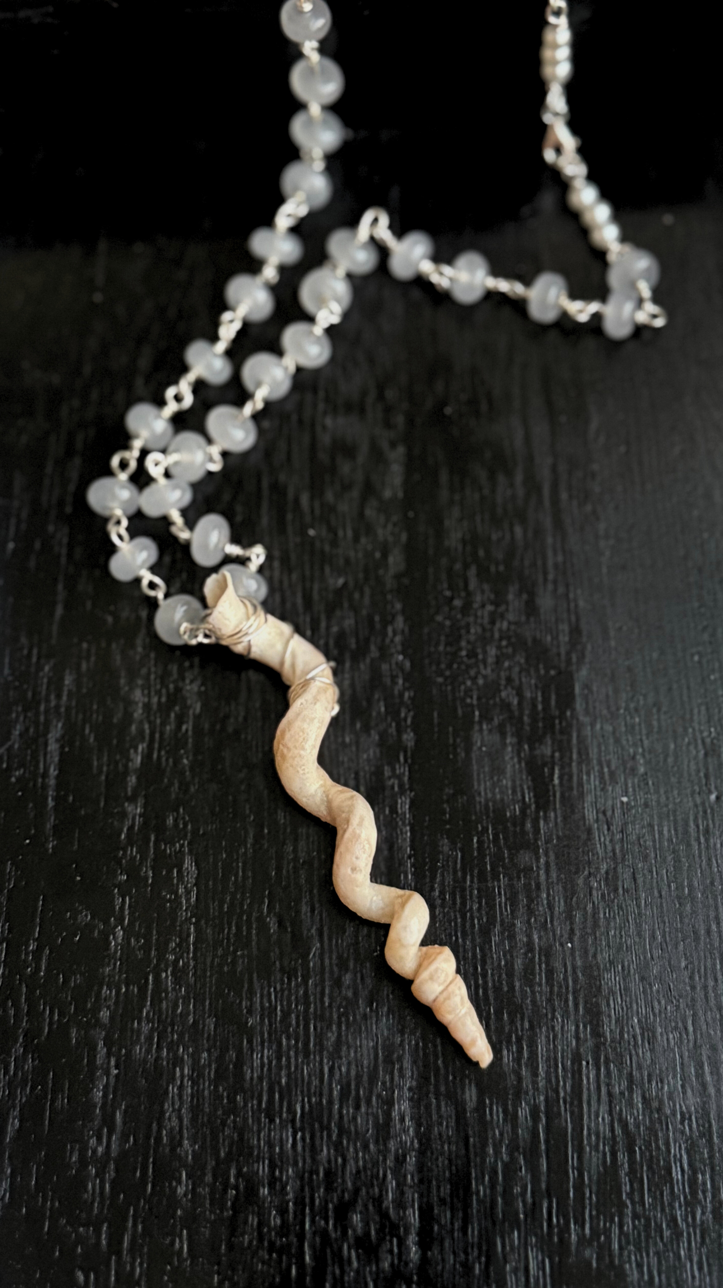 The Worm Shell Silver Necklace