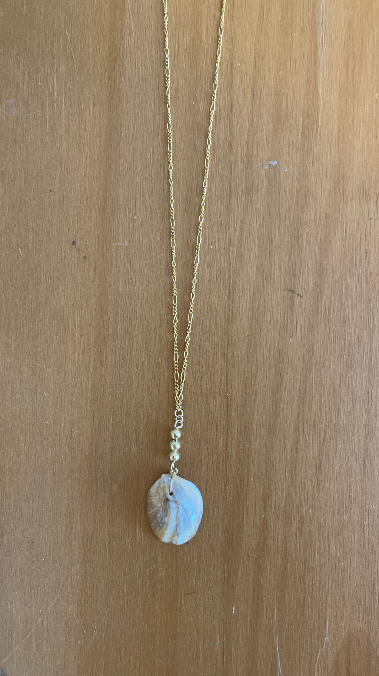 The Statement Shell Necklace