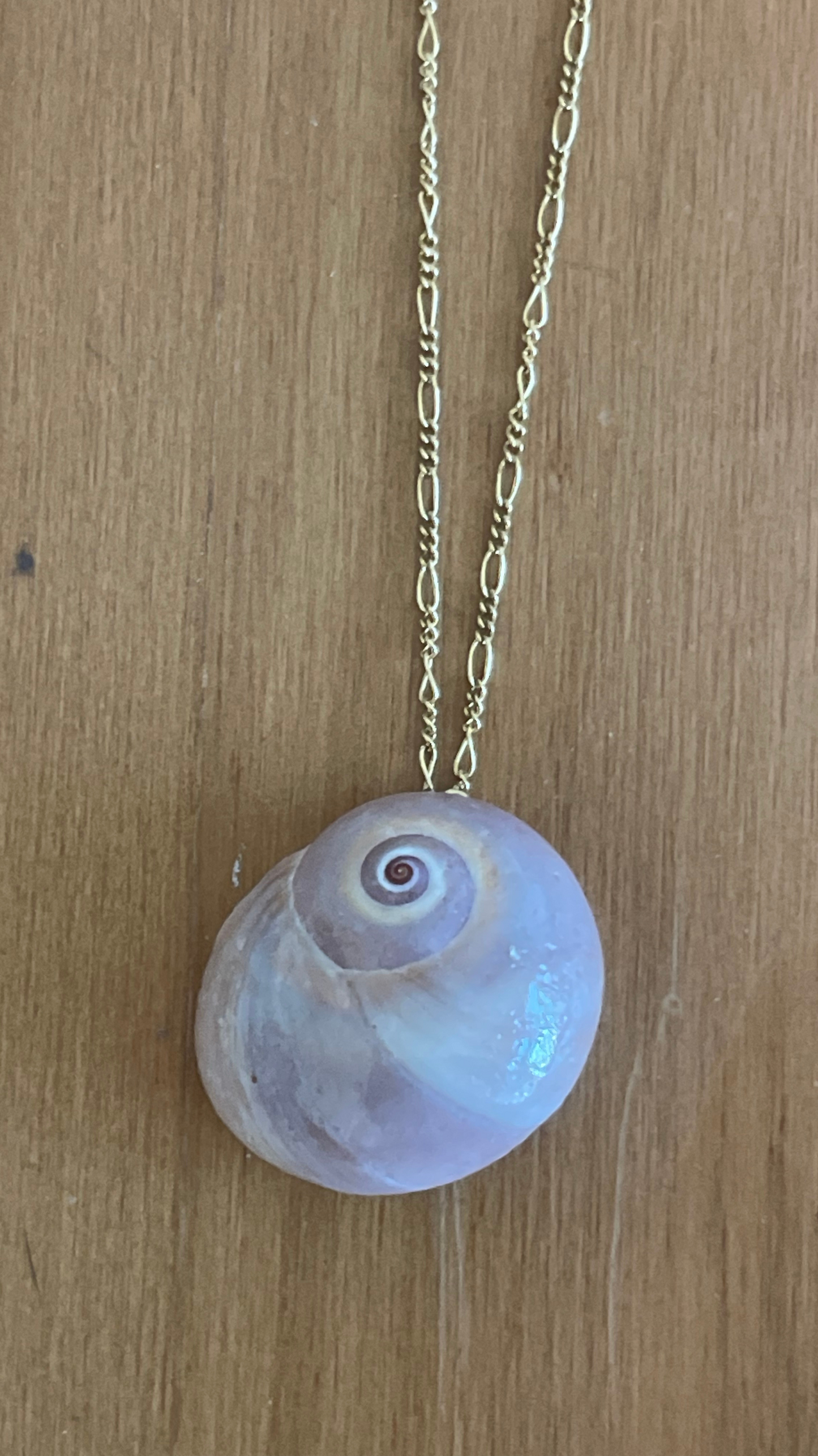 The Moon Shell Necklace
