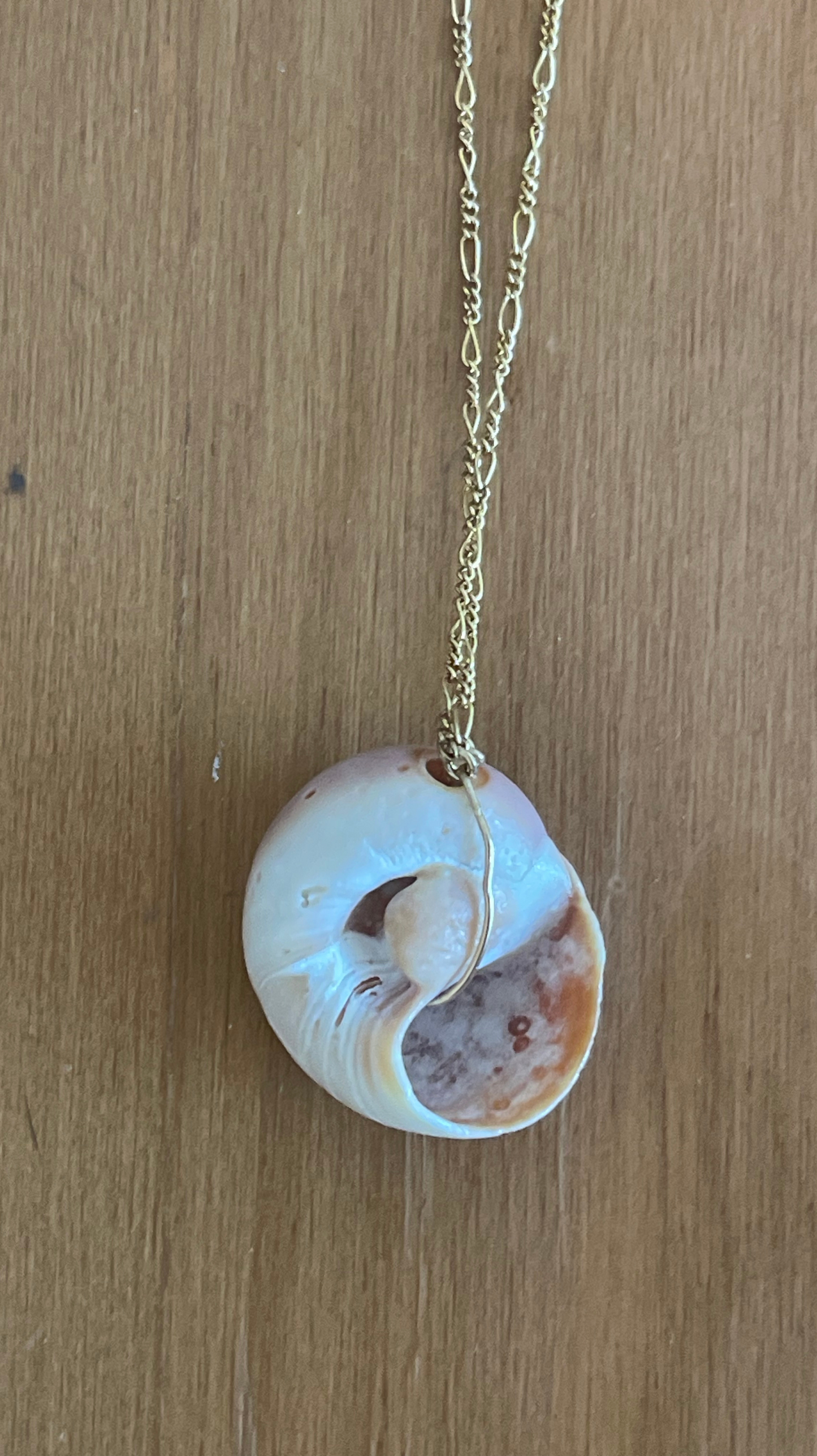 The Moon Shell Necklace