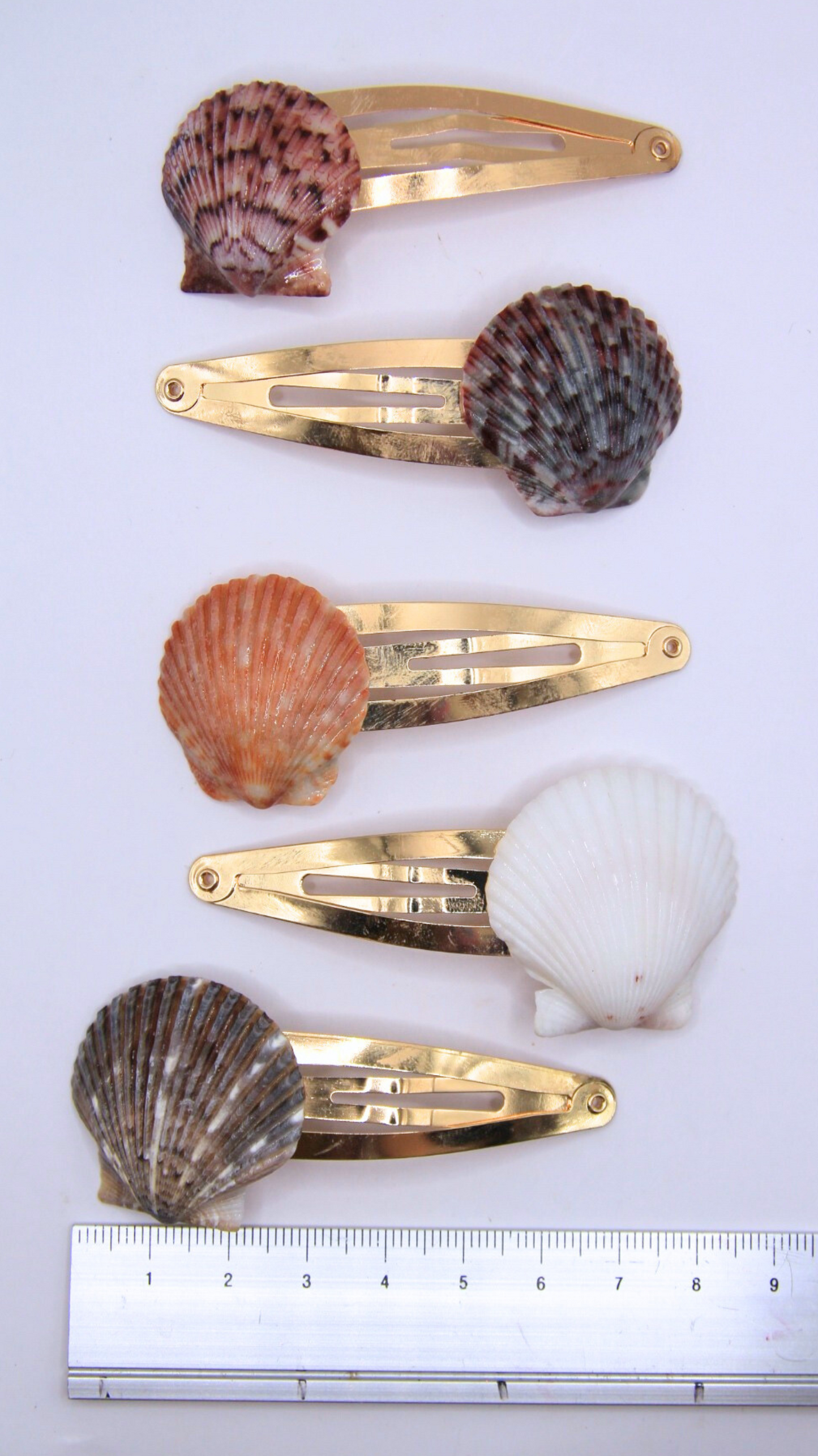 The Shell Hair Clips