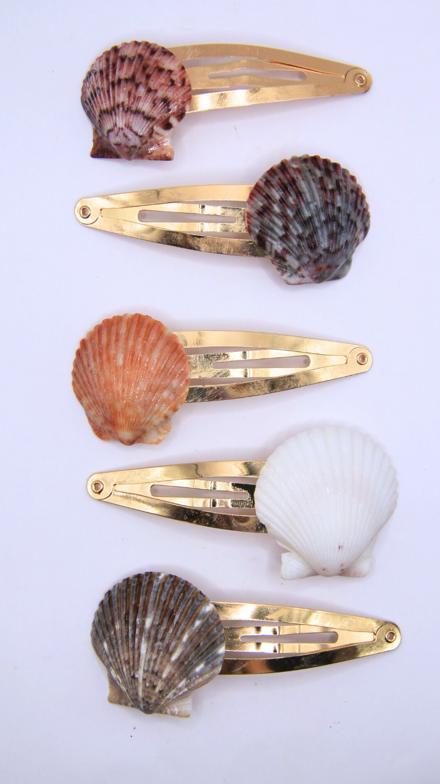 The Shell Hair Clips