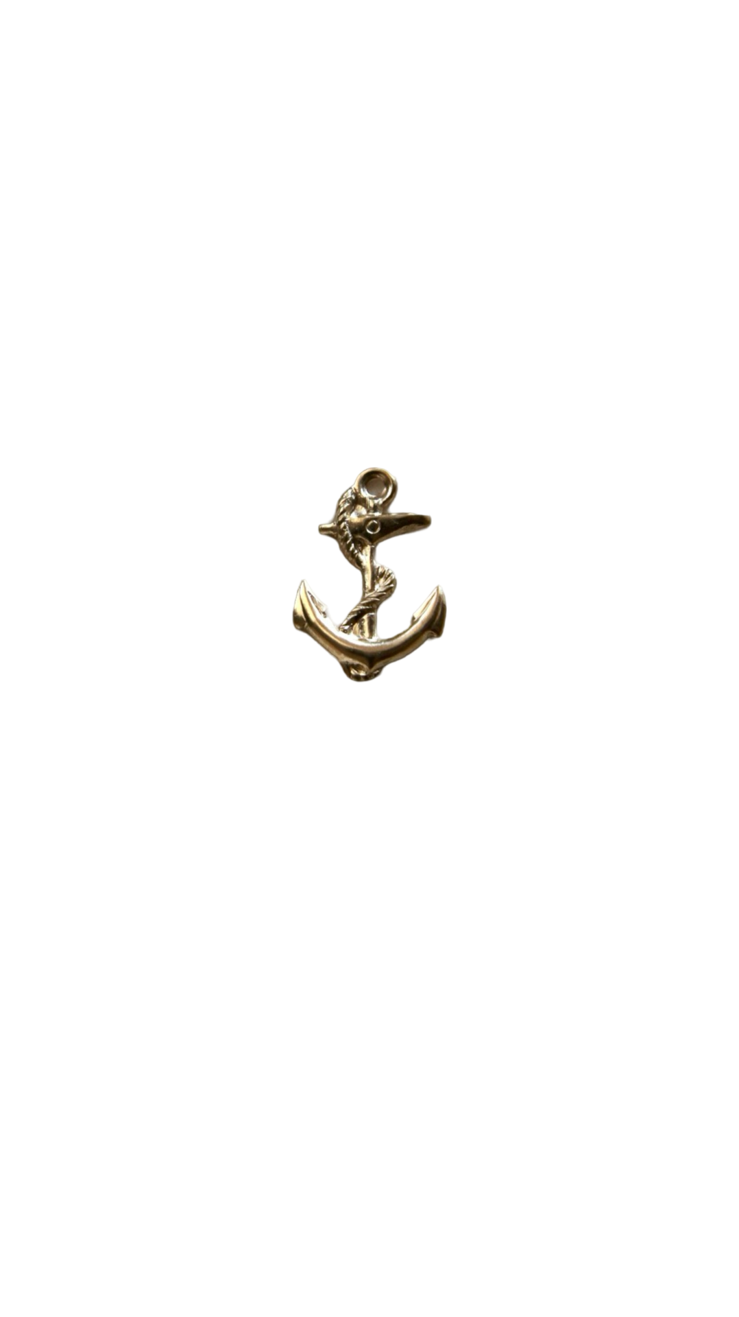 The Anchor Charm