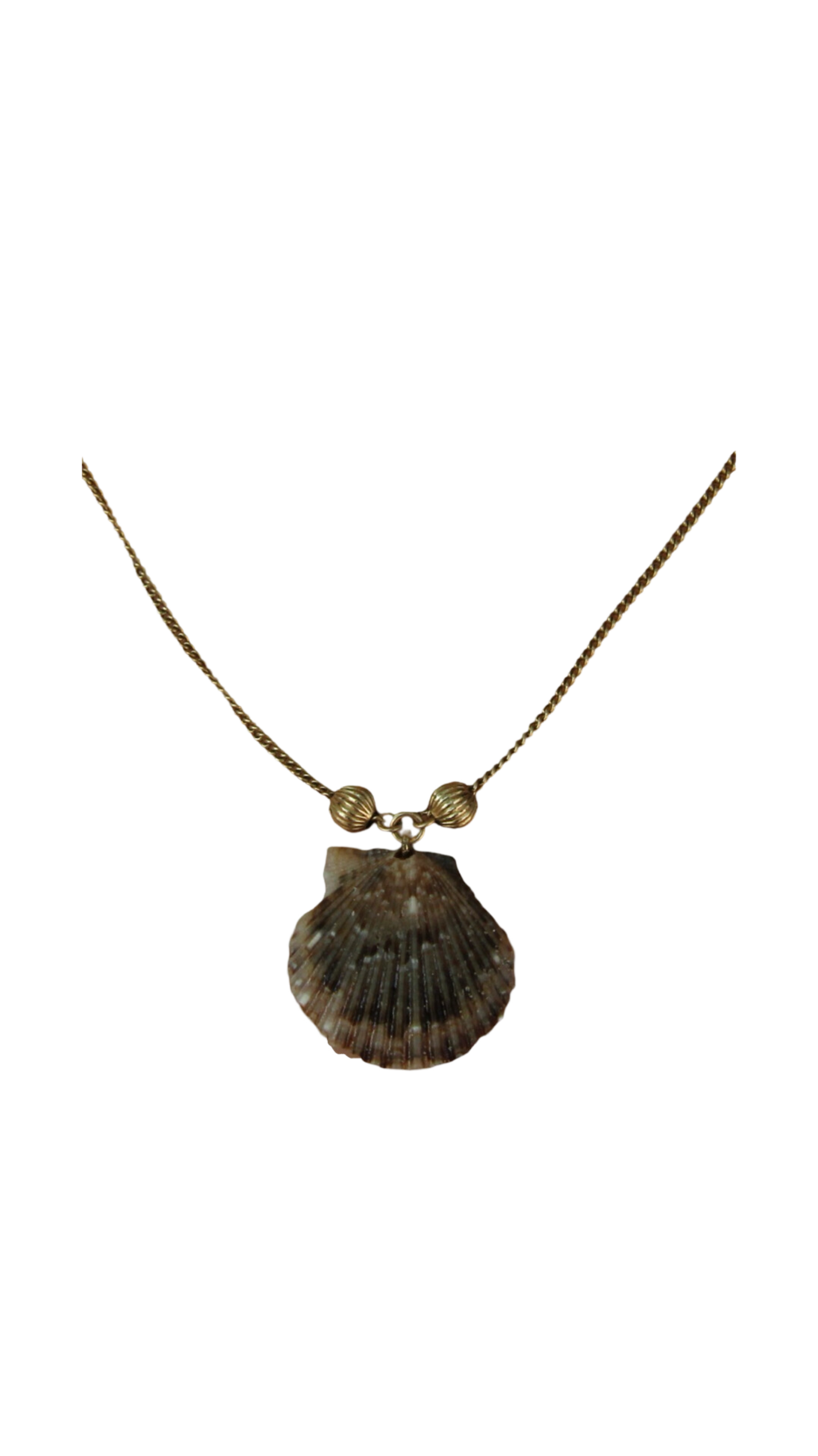 The Fancy Shell Necklace