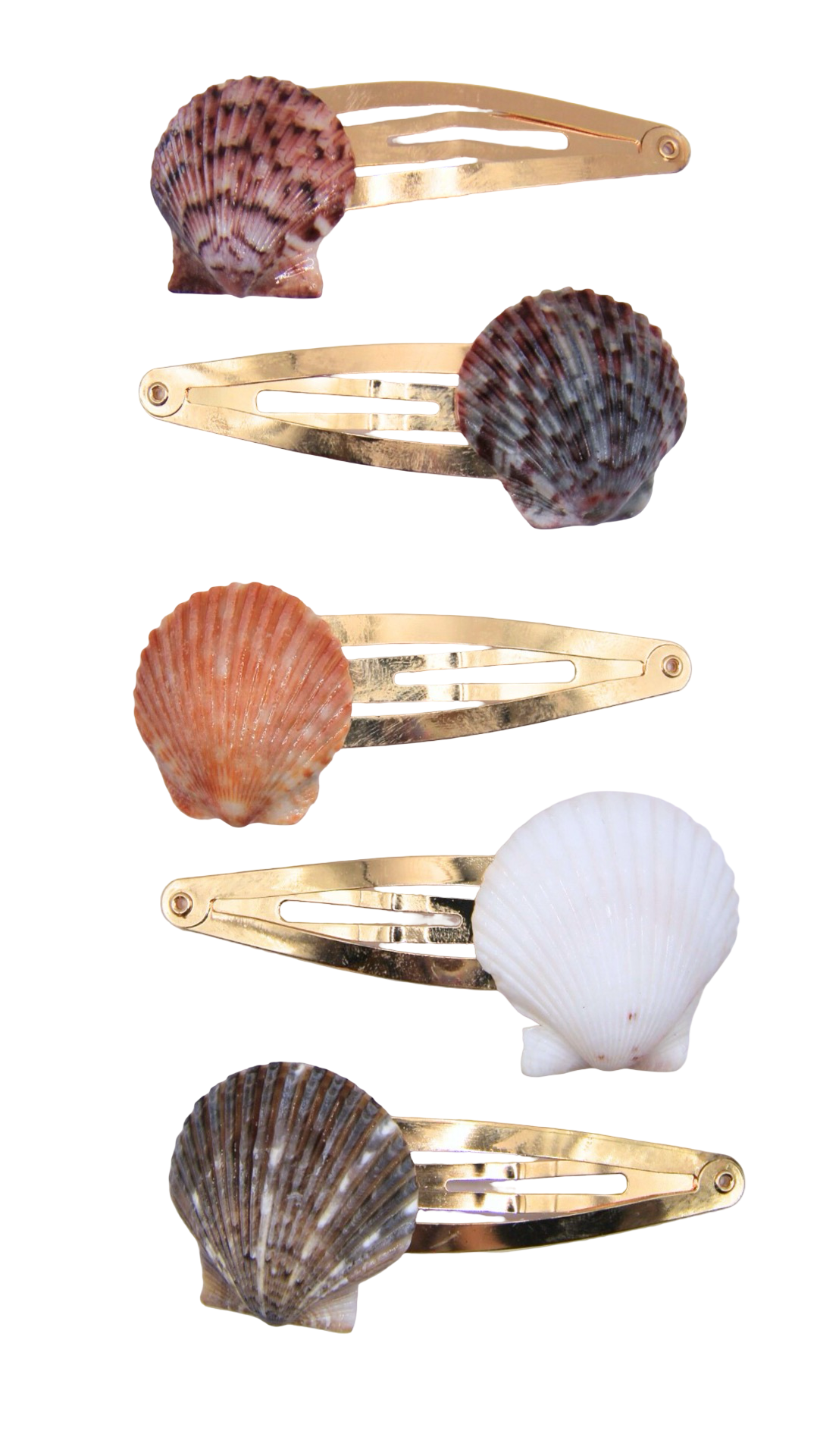 The Shell Hair Clips