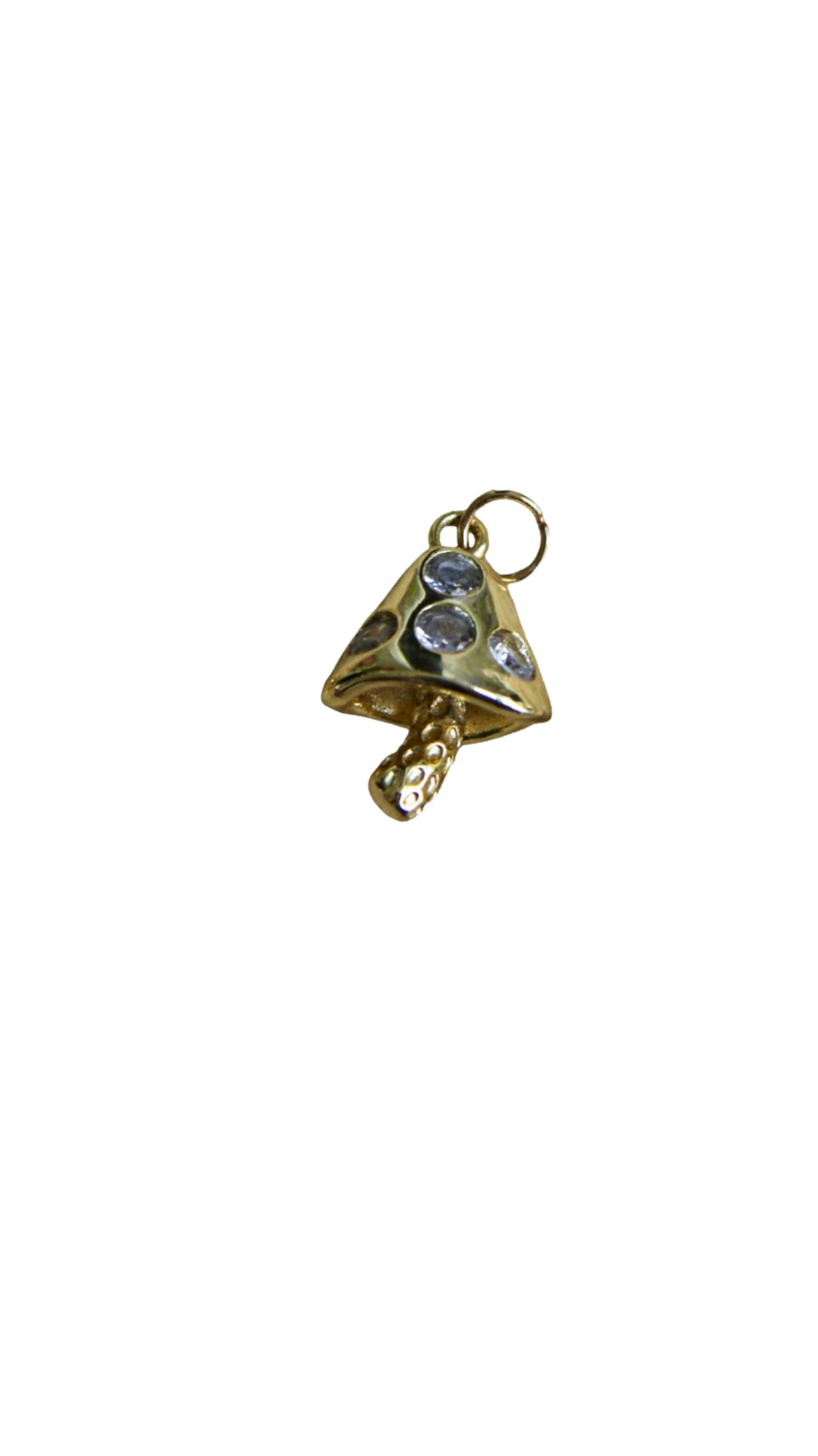 The Mikera Charm