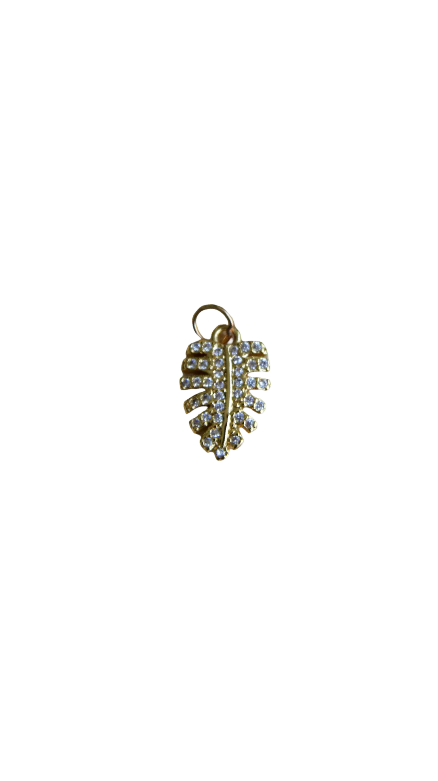The Monica Charm