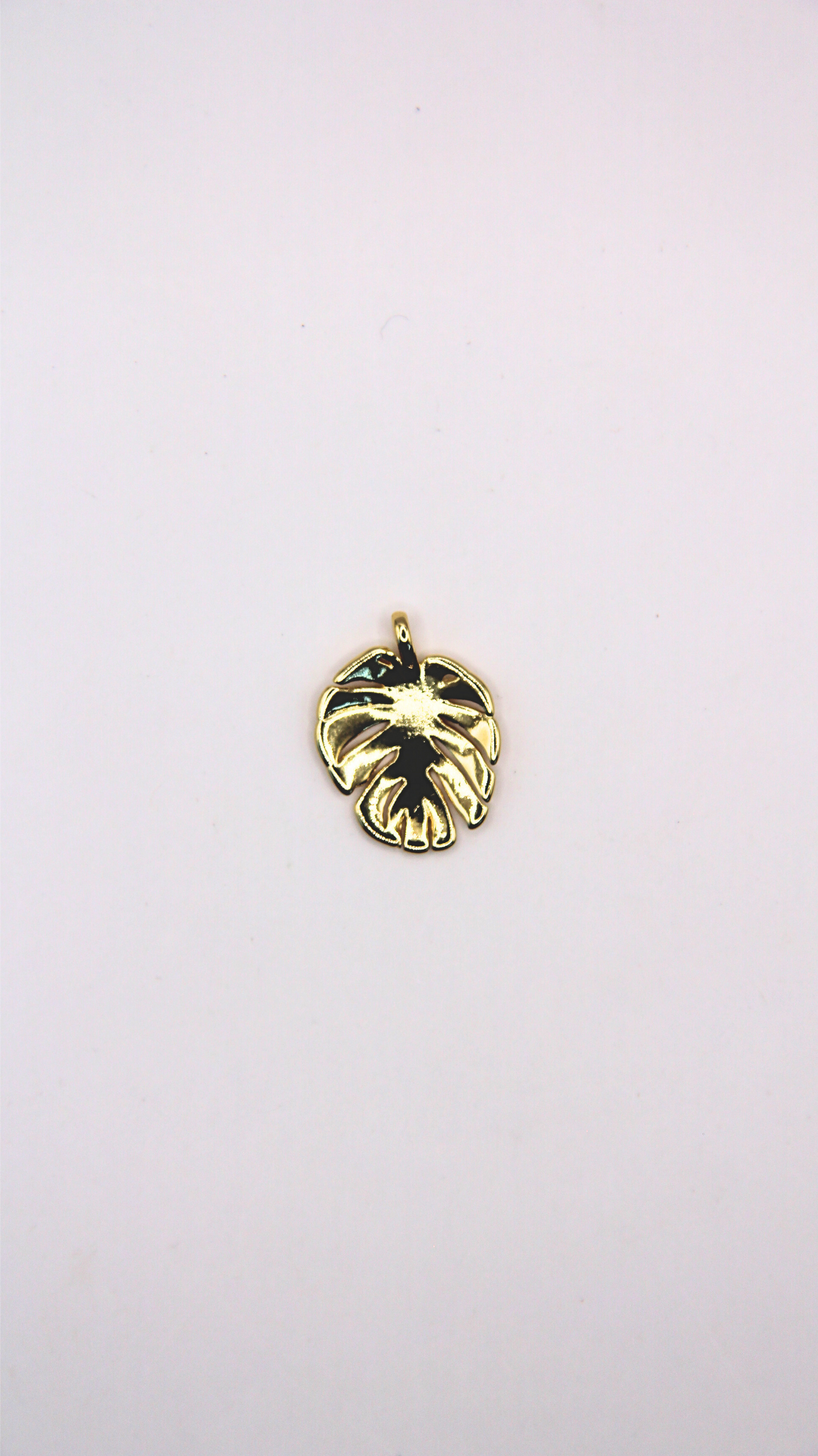 The Monstera Charm