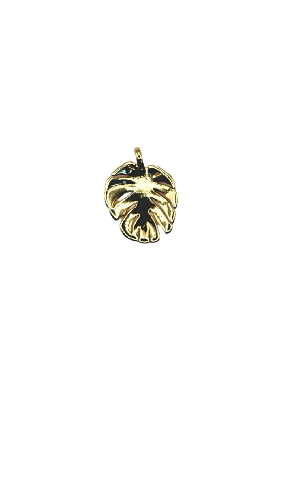 The Monstera Charm