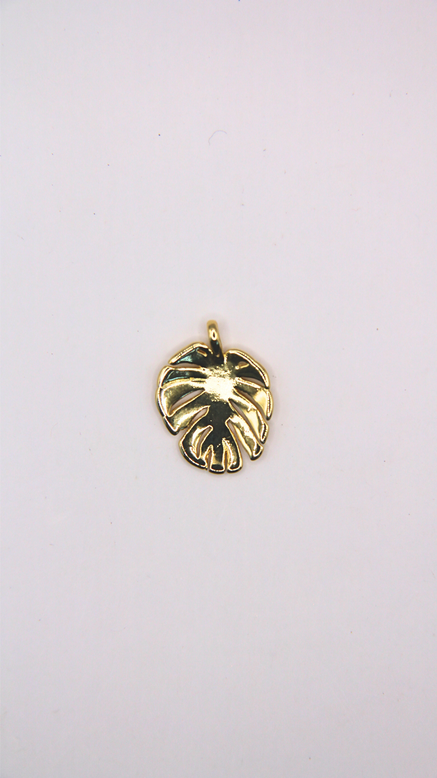 The Monstera Charm