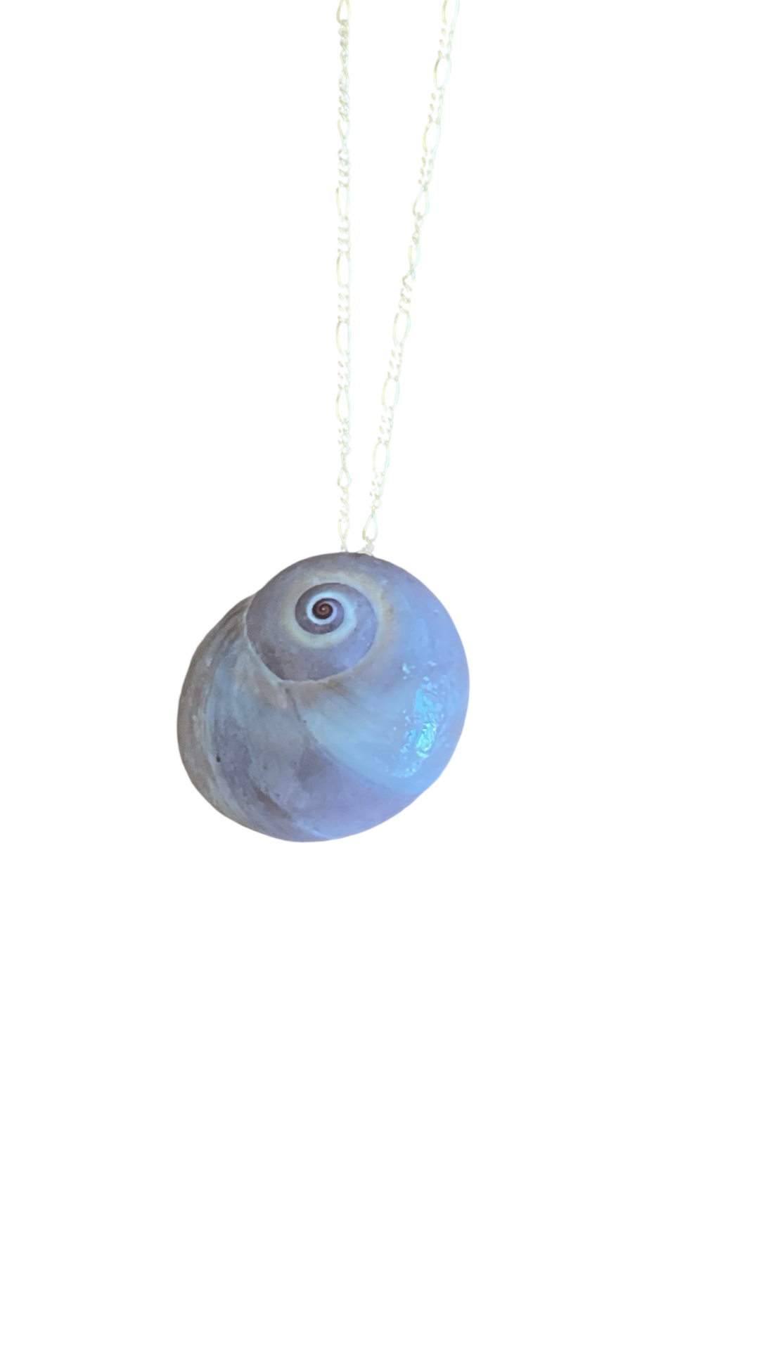 The Moon Shell Necklace