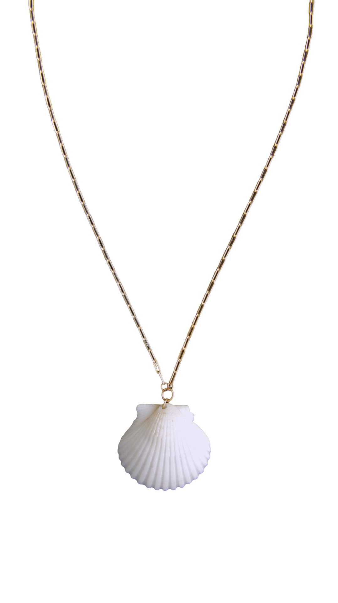 White Calico Shell Necklace