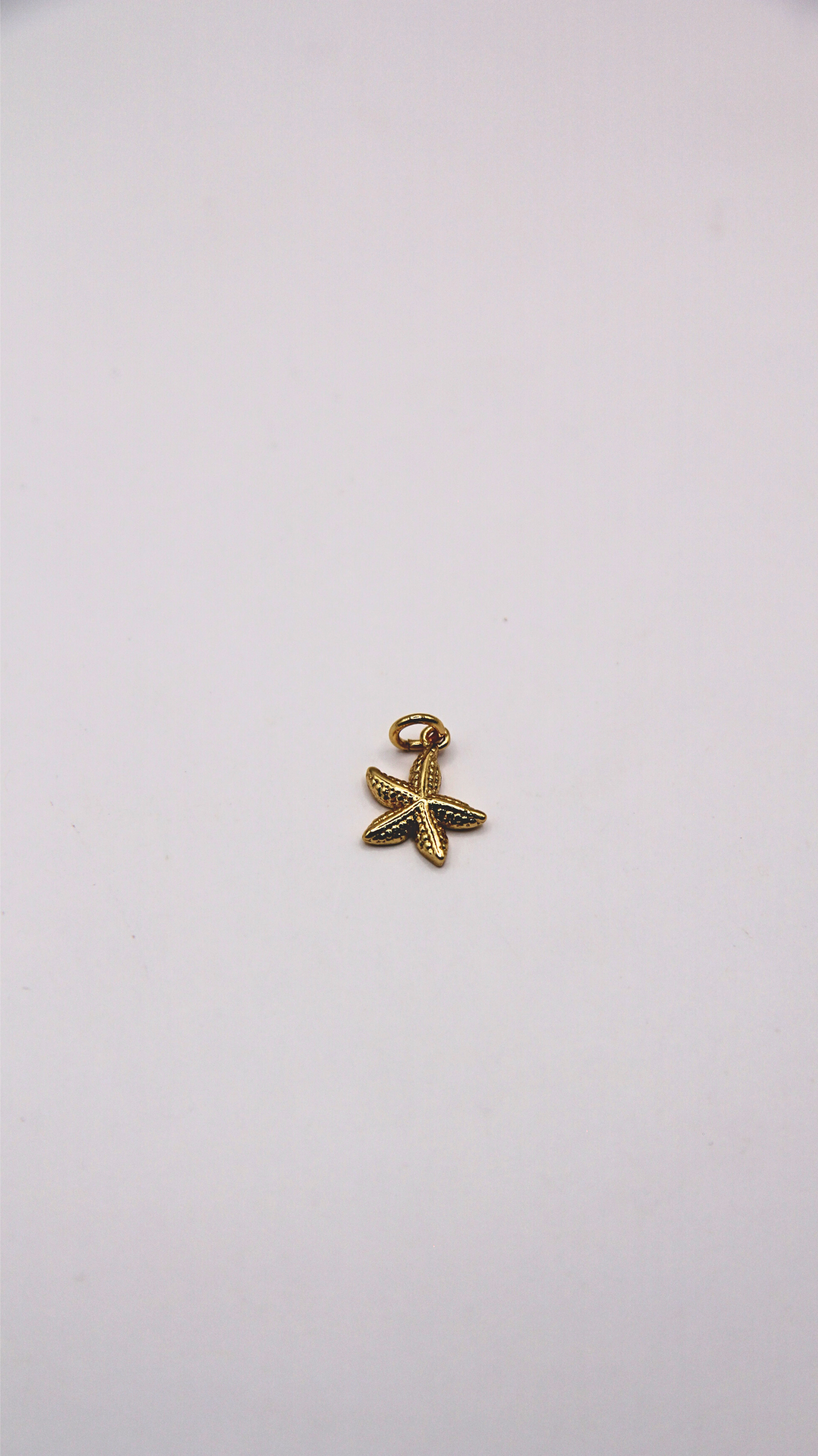 The Starfish Charm