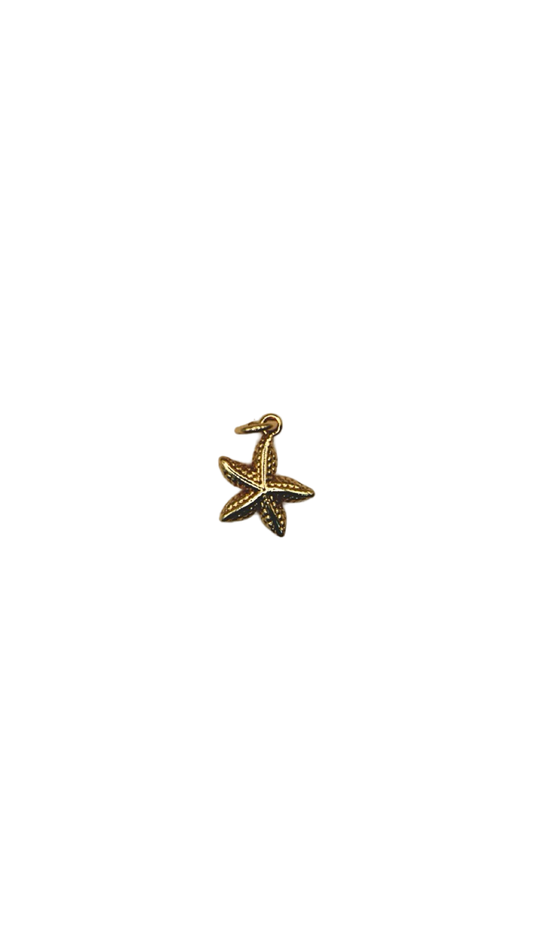 The Starfish Charm