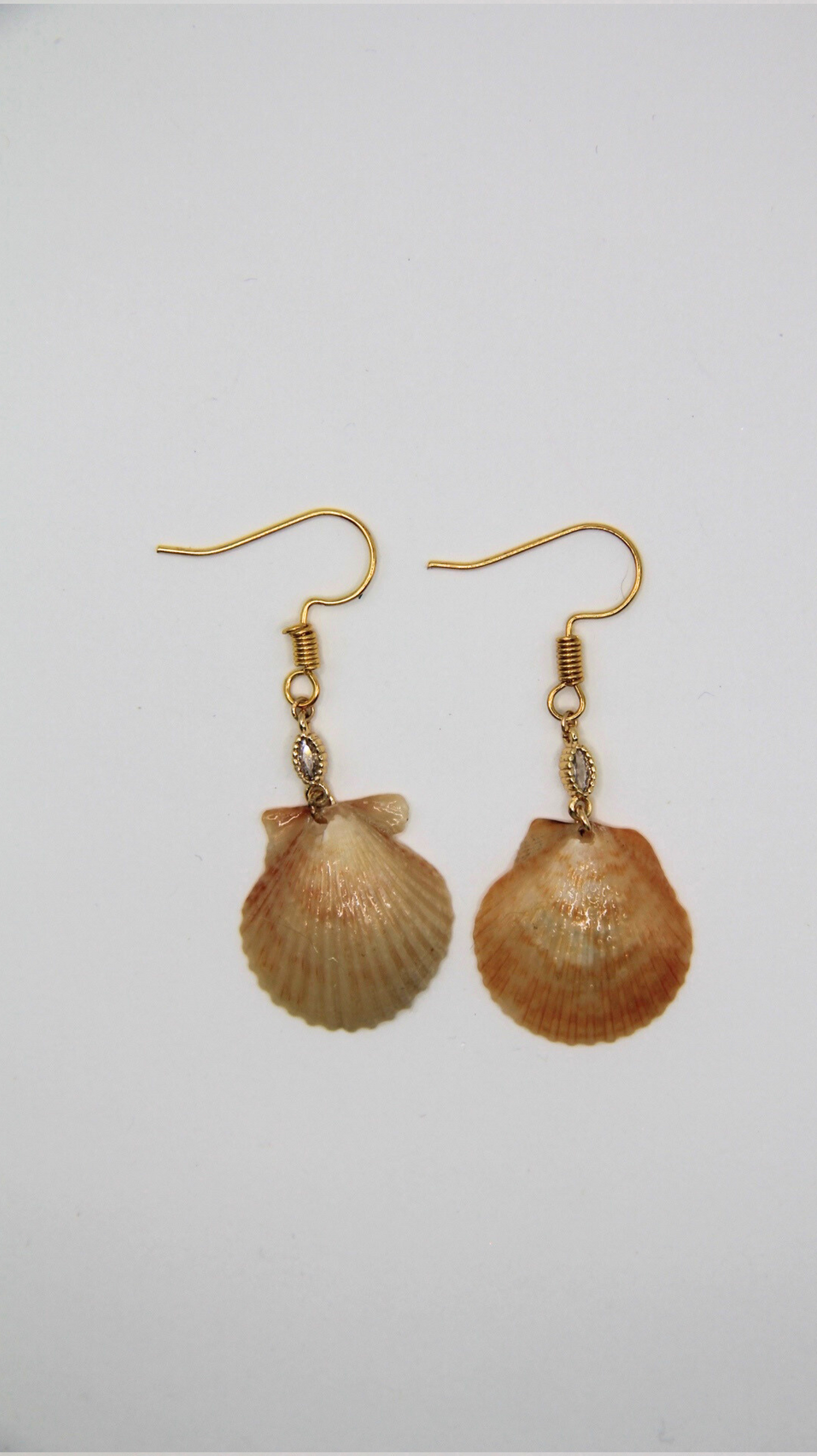 The Ivy Shell Earrings