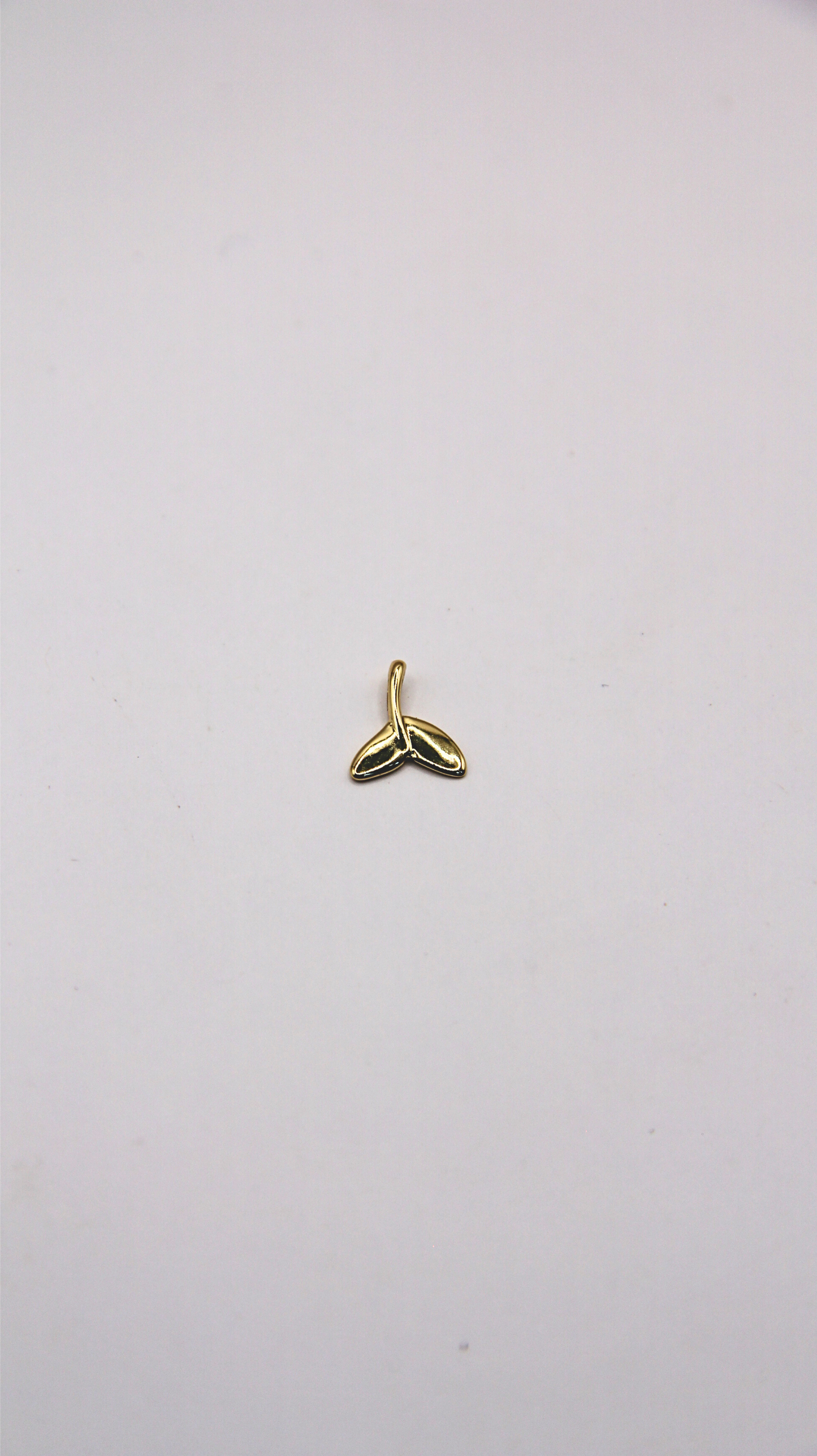 The Whale Tail Charm