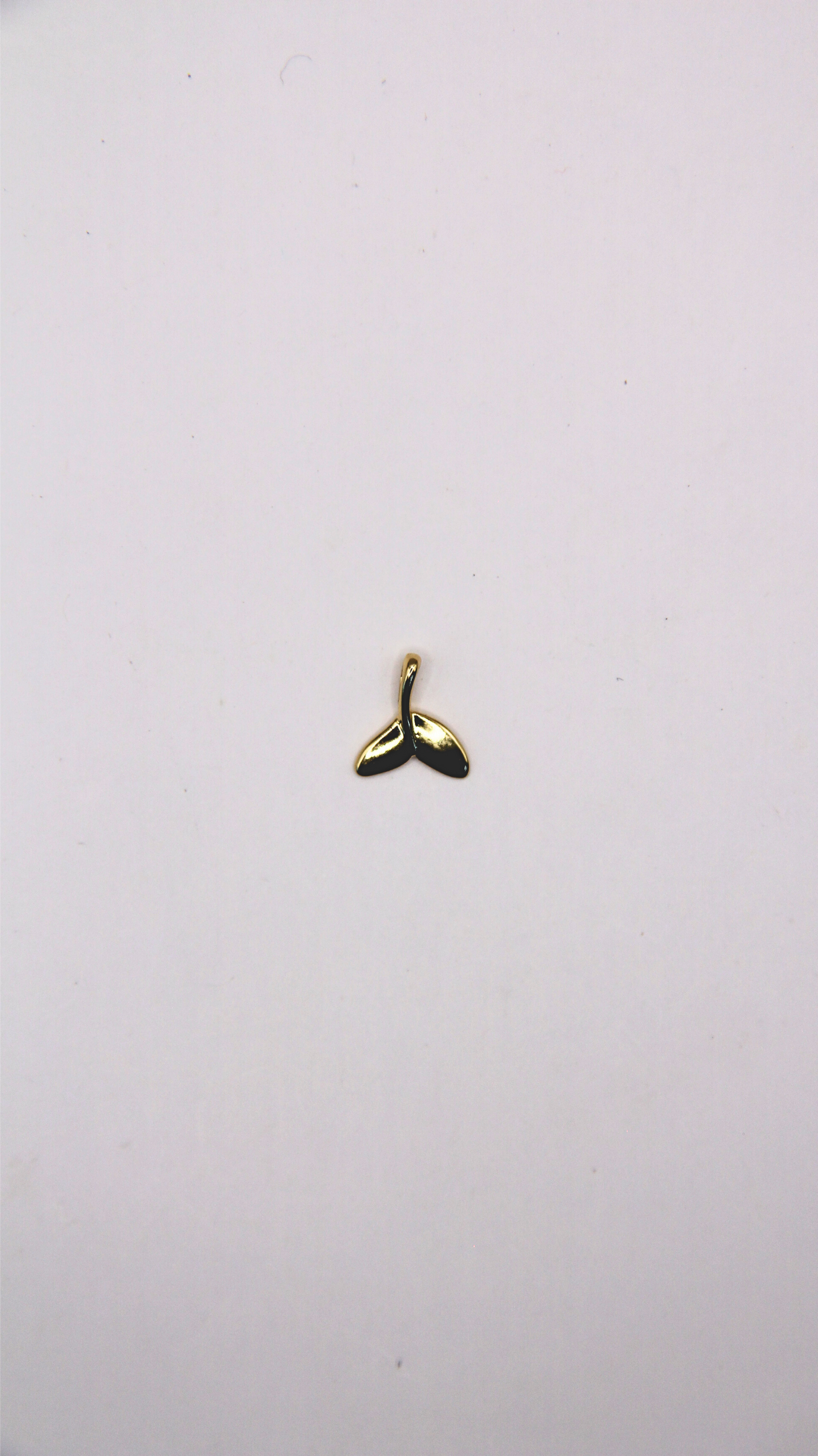 The Whale Tail Charm