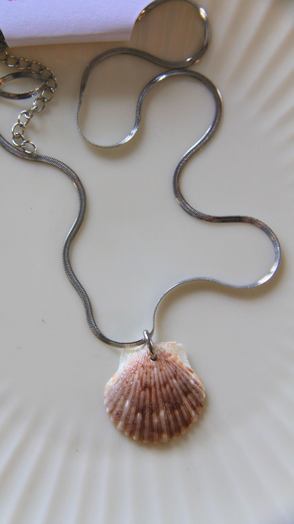 The Silver Flattened Snake Chain Shell Necklace