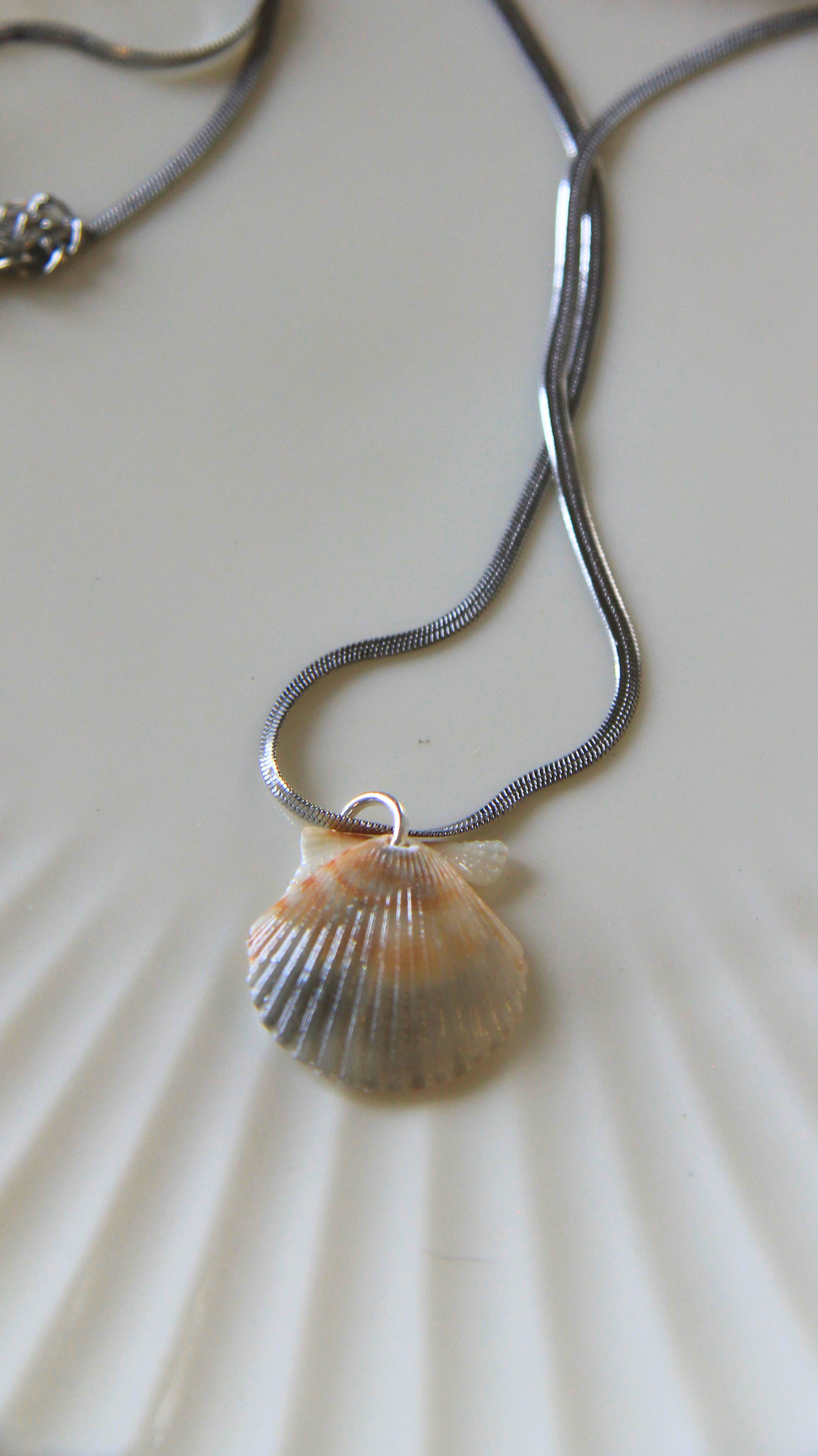 The Silver Flattened Snake Chain Shell Necklace