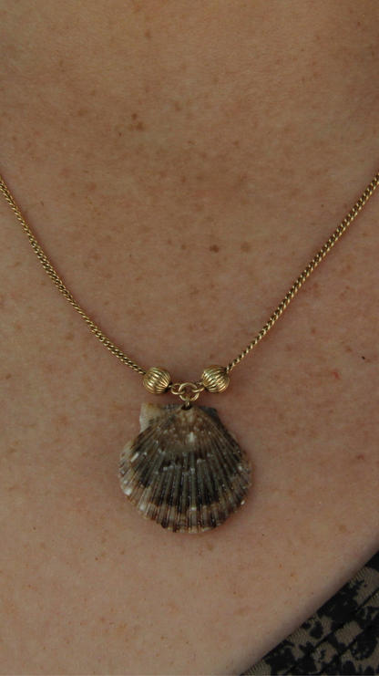 The Fancy Shell Necklace