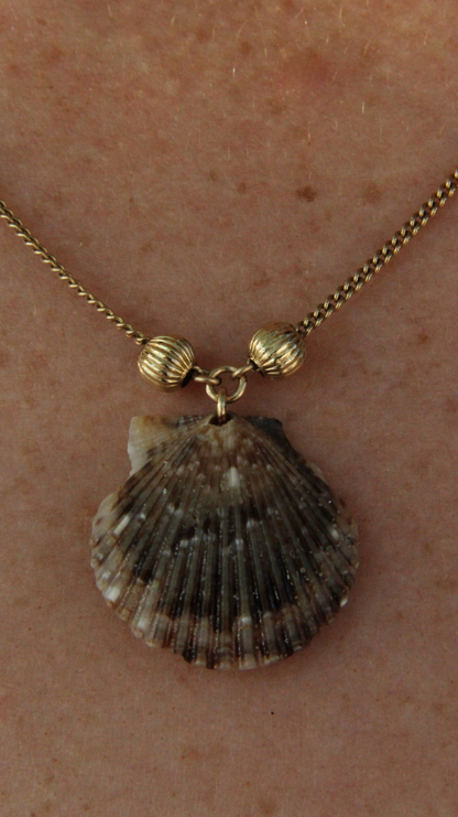 The Fancy Shell Necklace