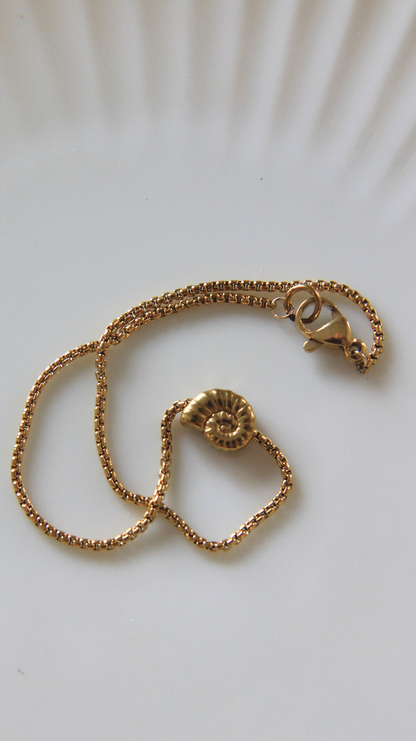 The Dainty Turbo Shell Bracelet