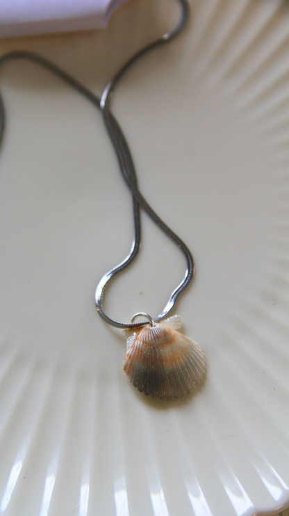 The Silver Flattened Snake Chain Shell Necklace