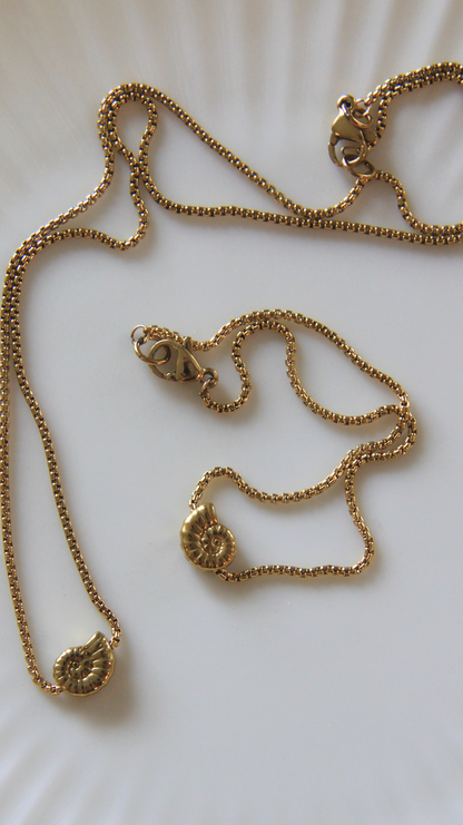 The Dainty Turbo Shell Bracelet