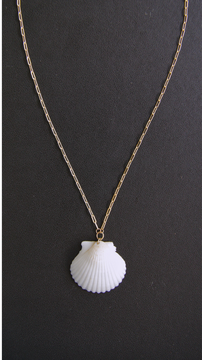 White Calico Shell Necklace