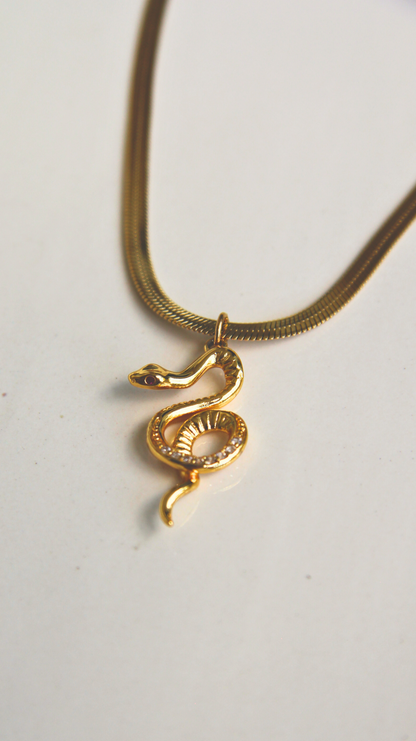 The Envy Necklace
