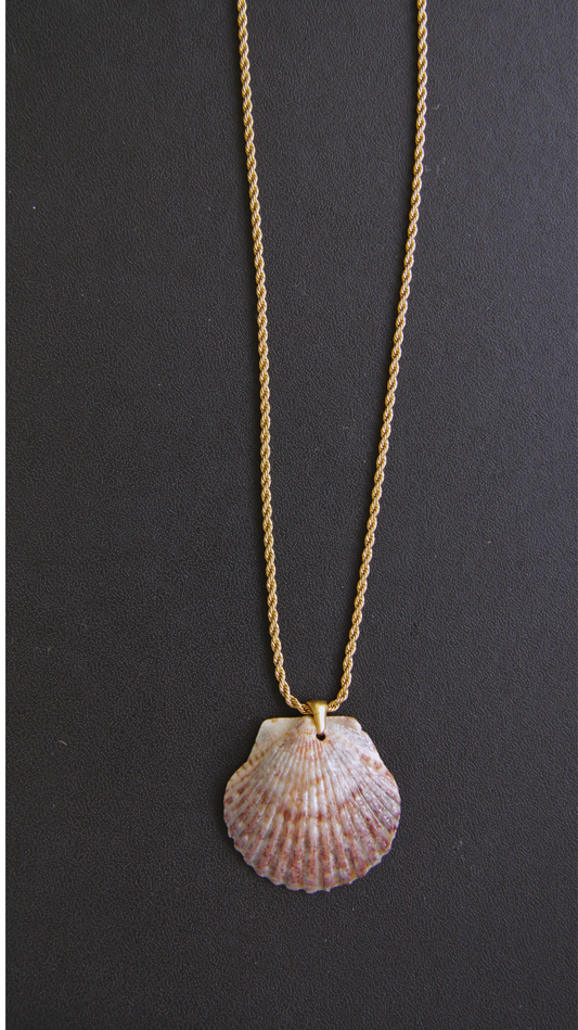 Rope Chain Shell Necklace