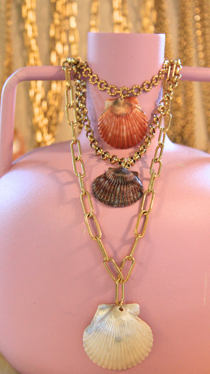 Gold Paperclip Chain Shell Necklace