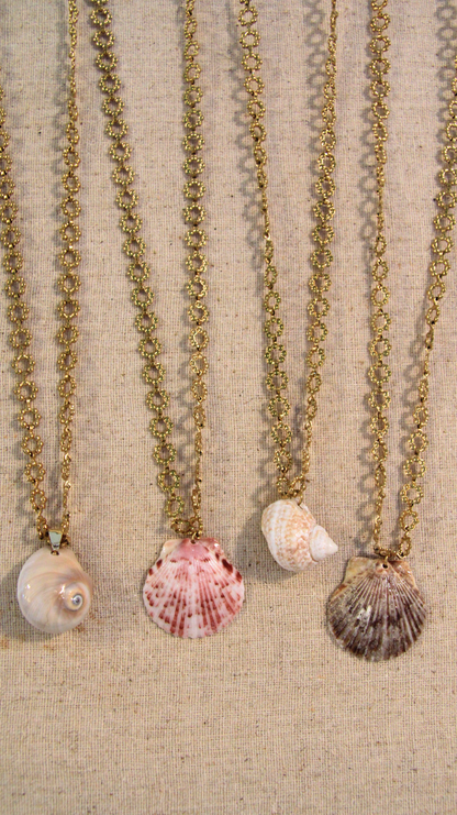 Rolo Chain Moon Shell Necklace