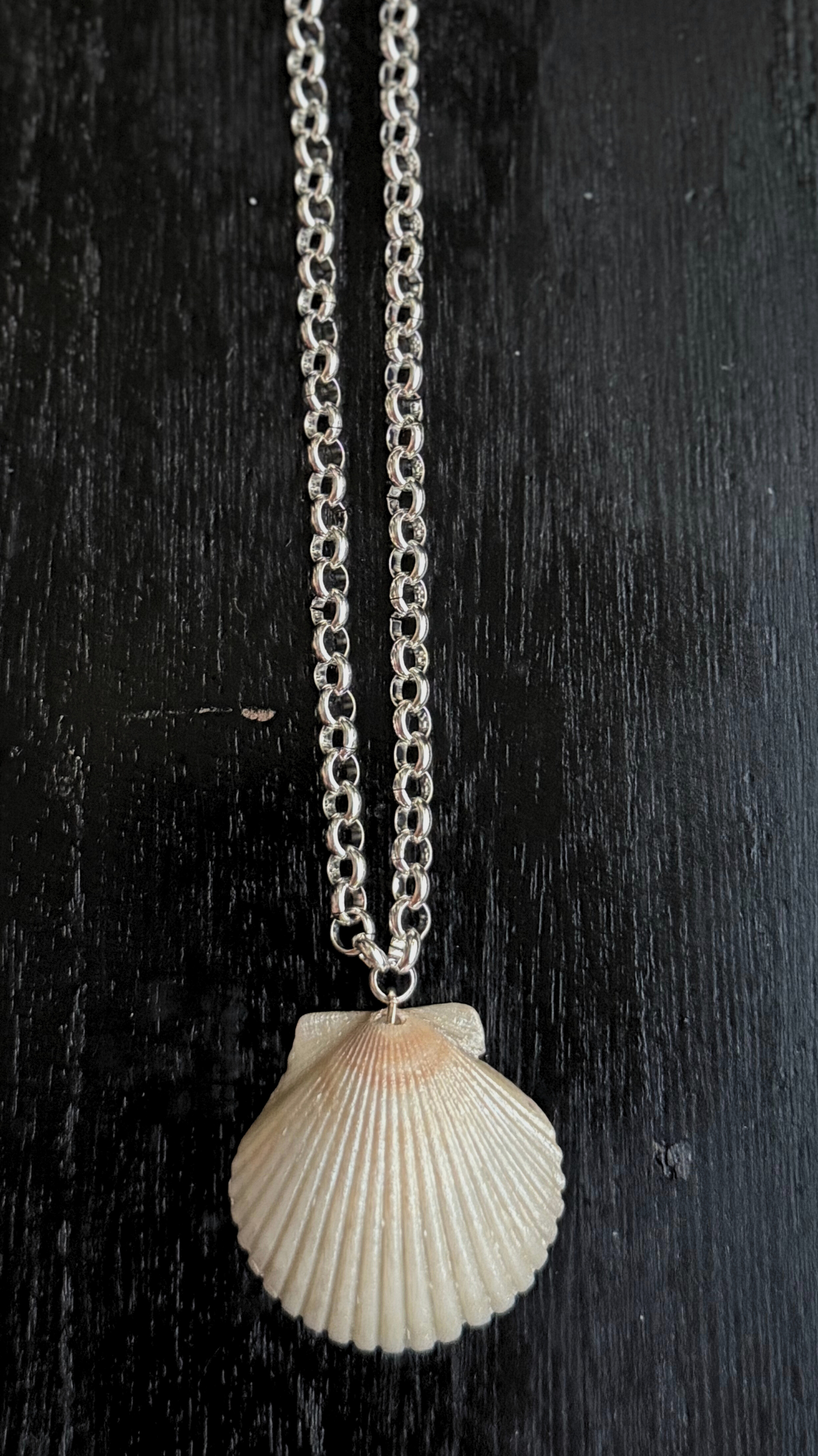 The Silver Rolo Chain Shell Necklace