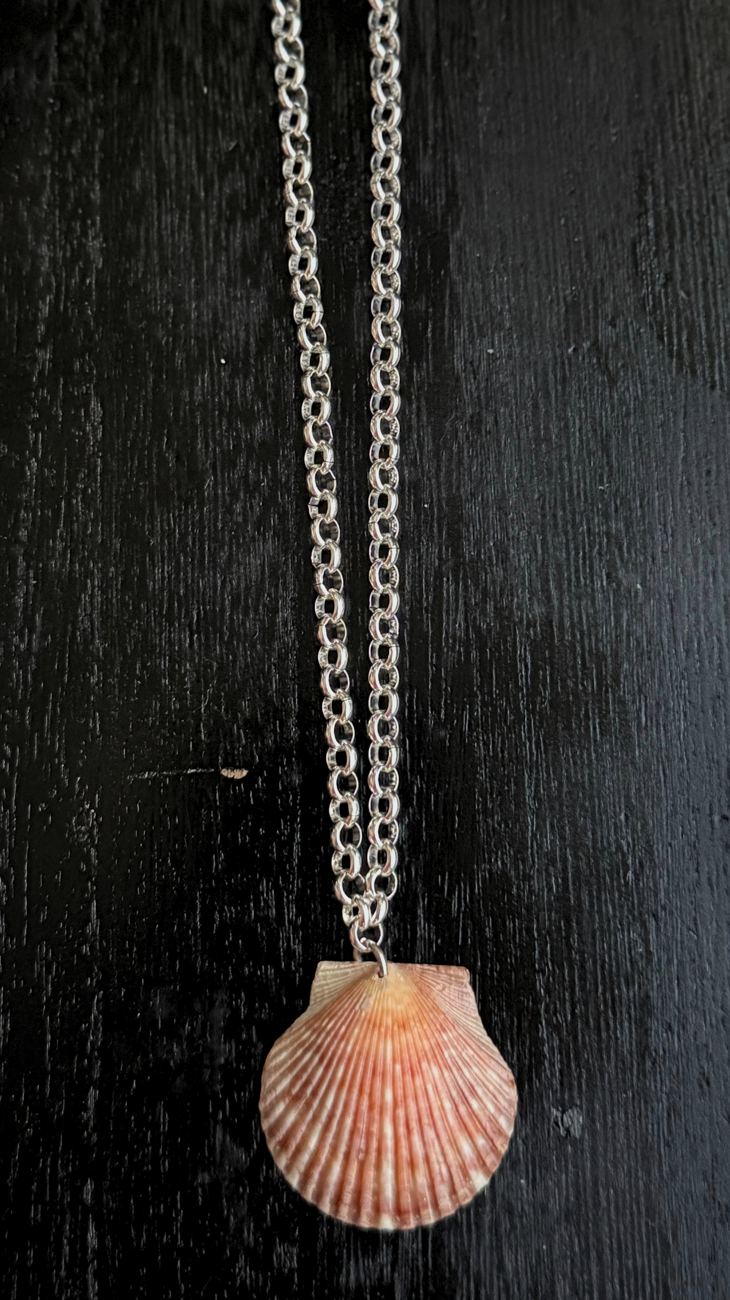 The Silver Rolo Chain Shell Necklace