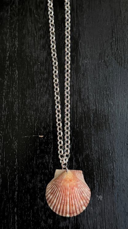 The Silver Rolo Chain Shell Necklace